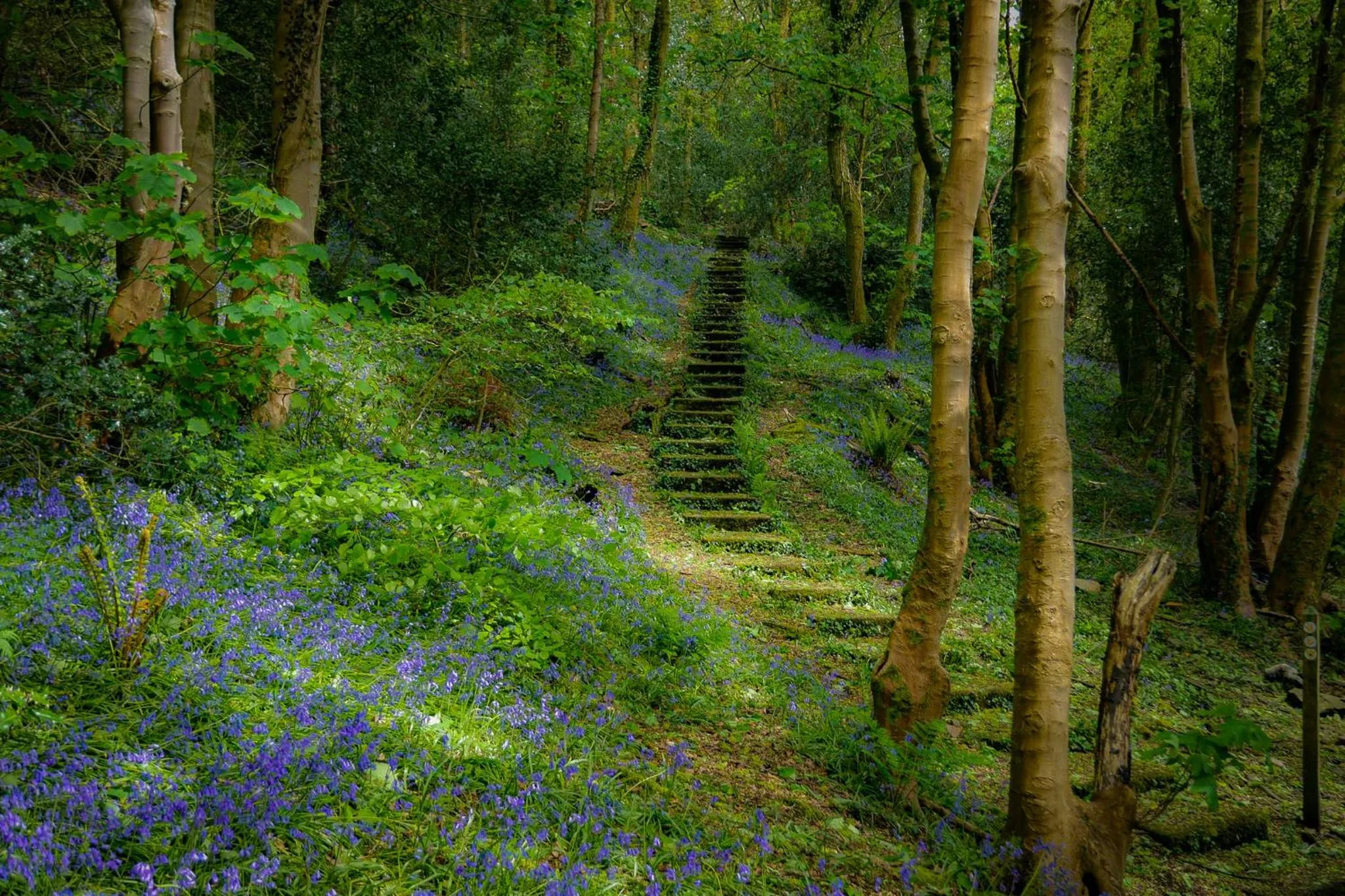 Other in Beili Glas Cottage