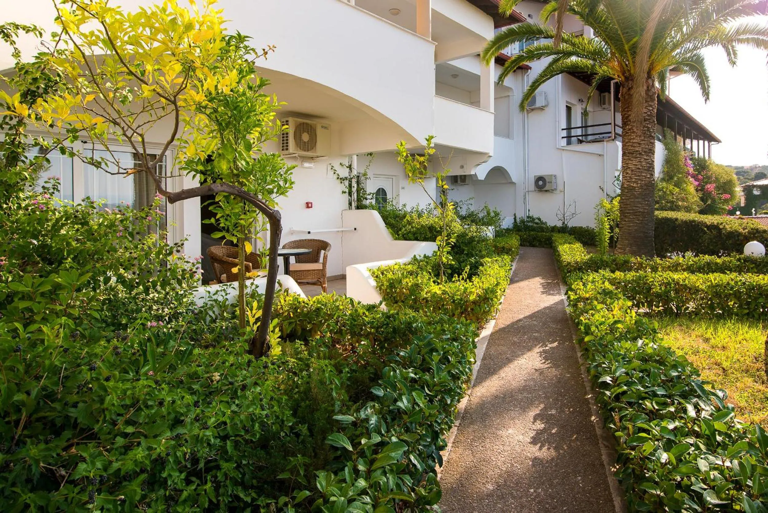 Garden in Alexandros Palace