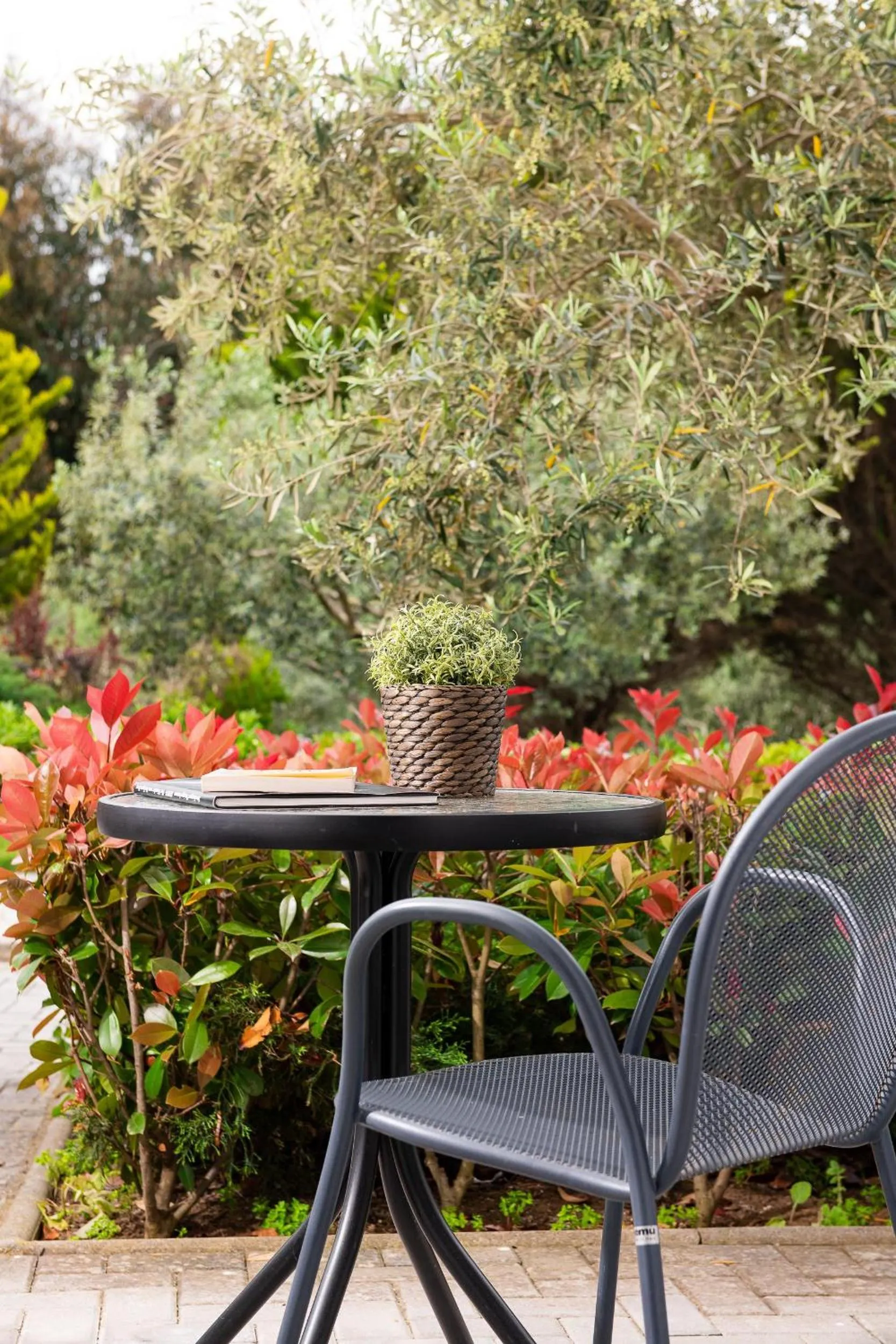 Photo of the whole room in Alexandros Palace