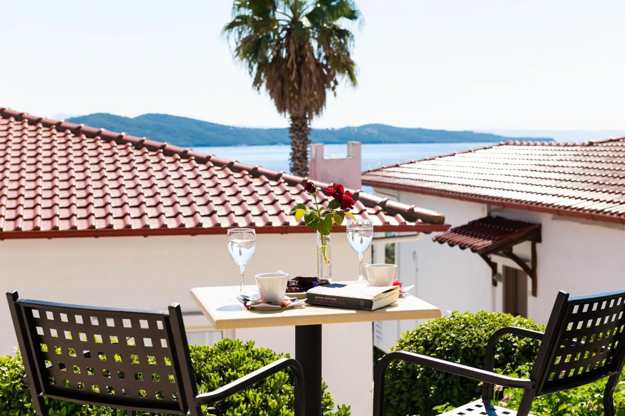 Photo of the whole room in Alexandros Palace