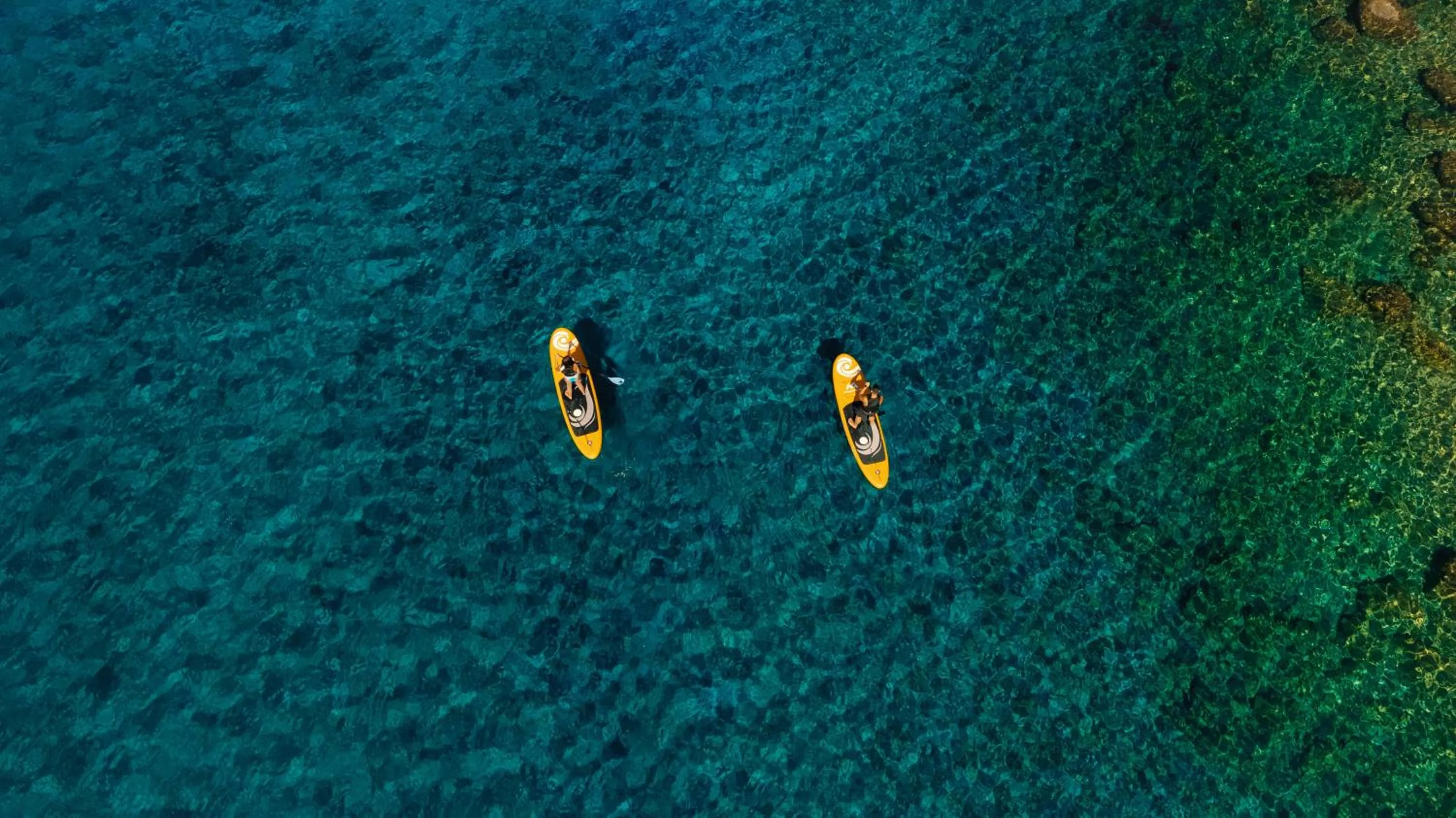 Activities in Alexandros Palace