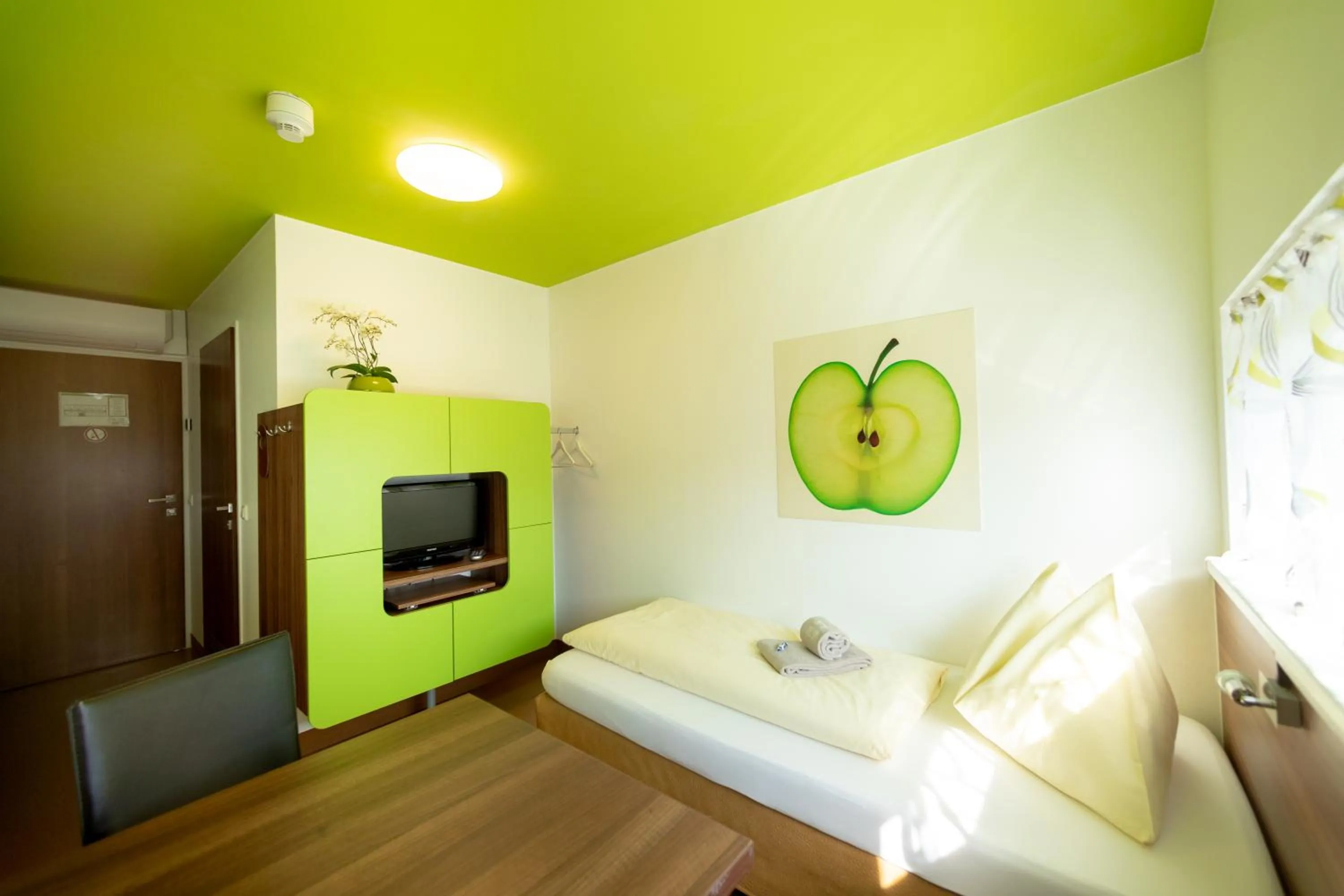 Single Room in Hotel Greenrooms