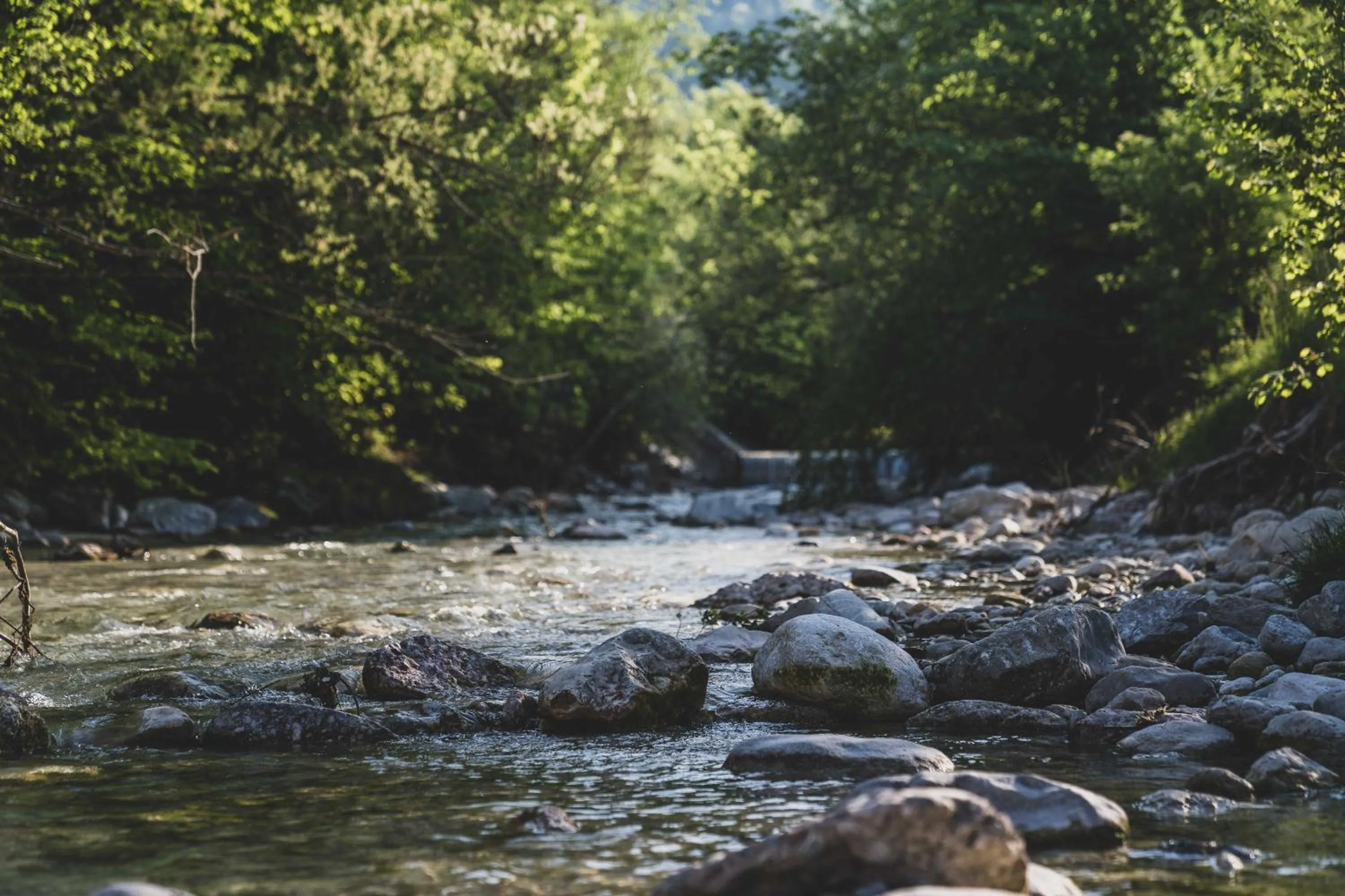 Natural landscape in Bergrose Hideaway