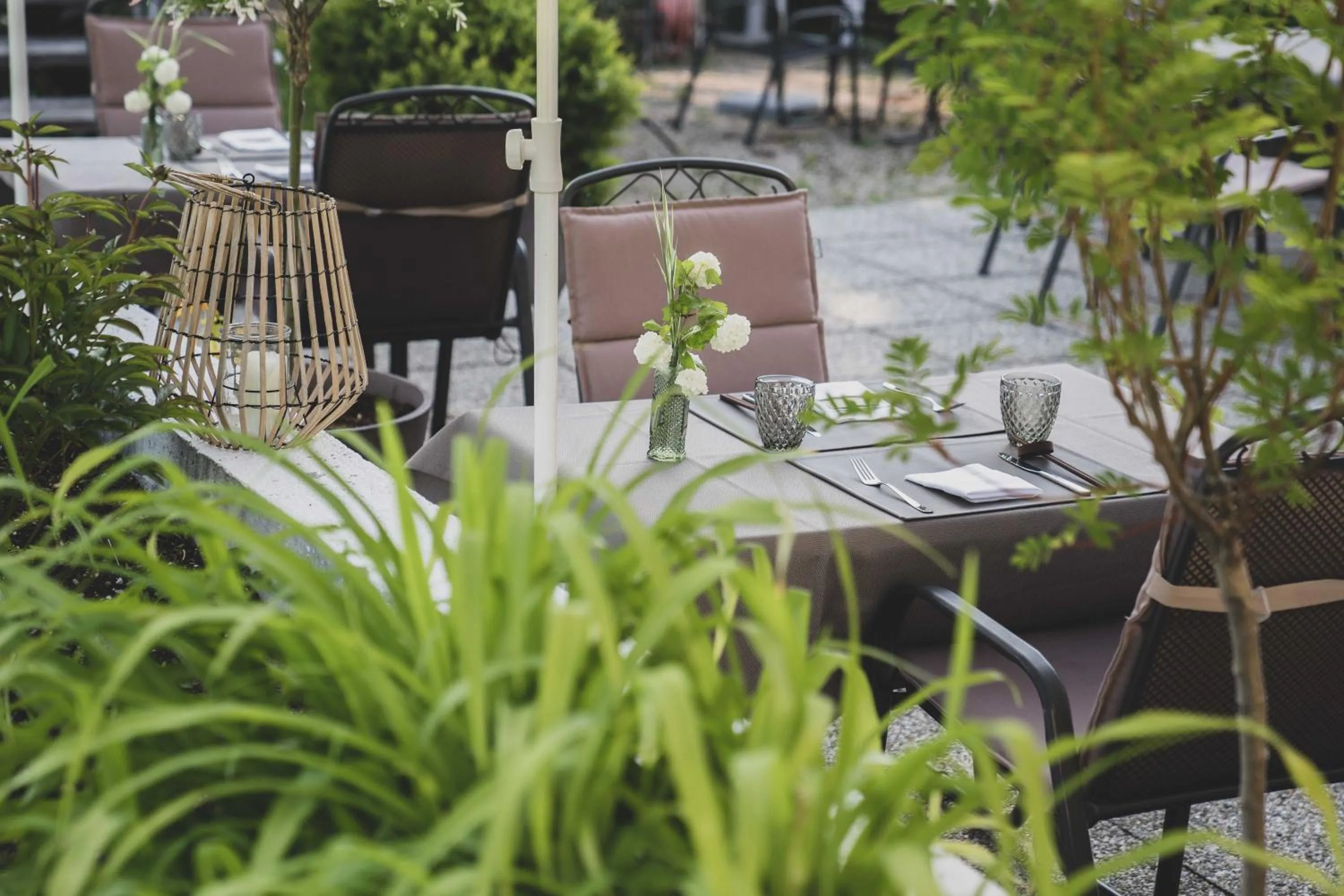 Restaurant/places to eat in Bergrose Hideaway