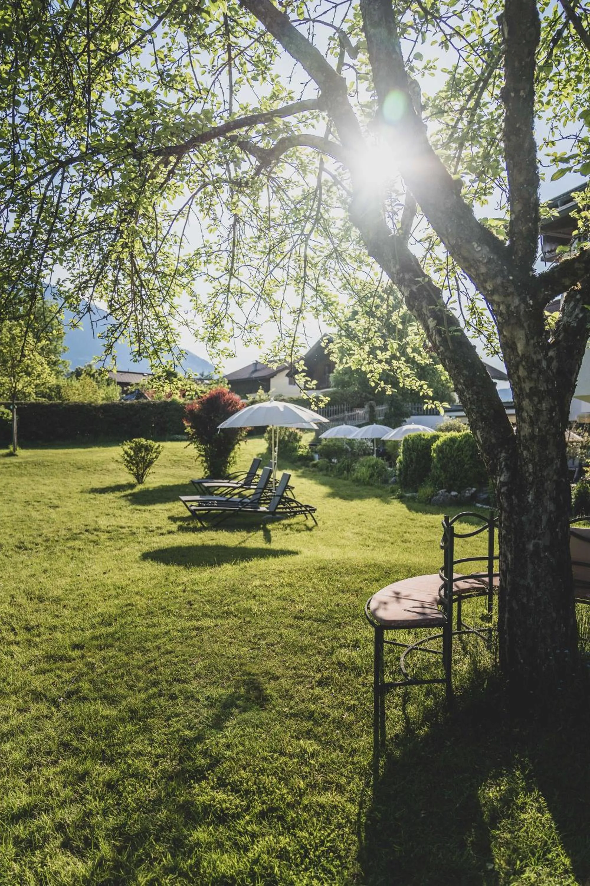 Day in Bergrose Hideaway