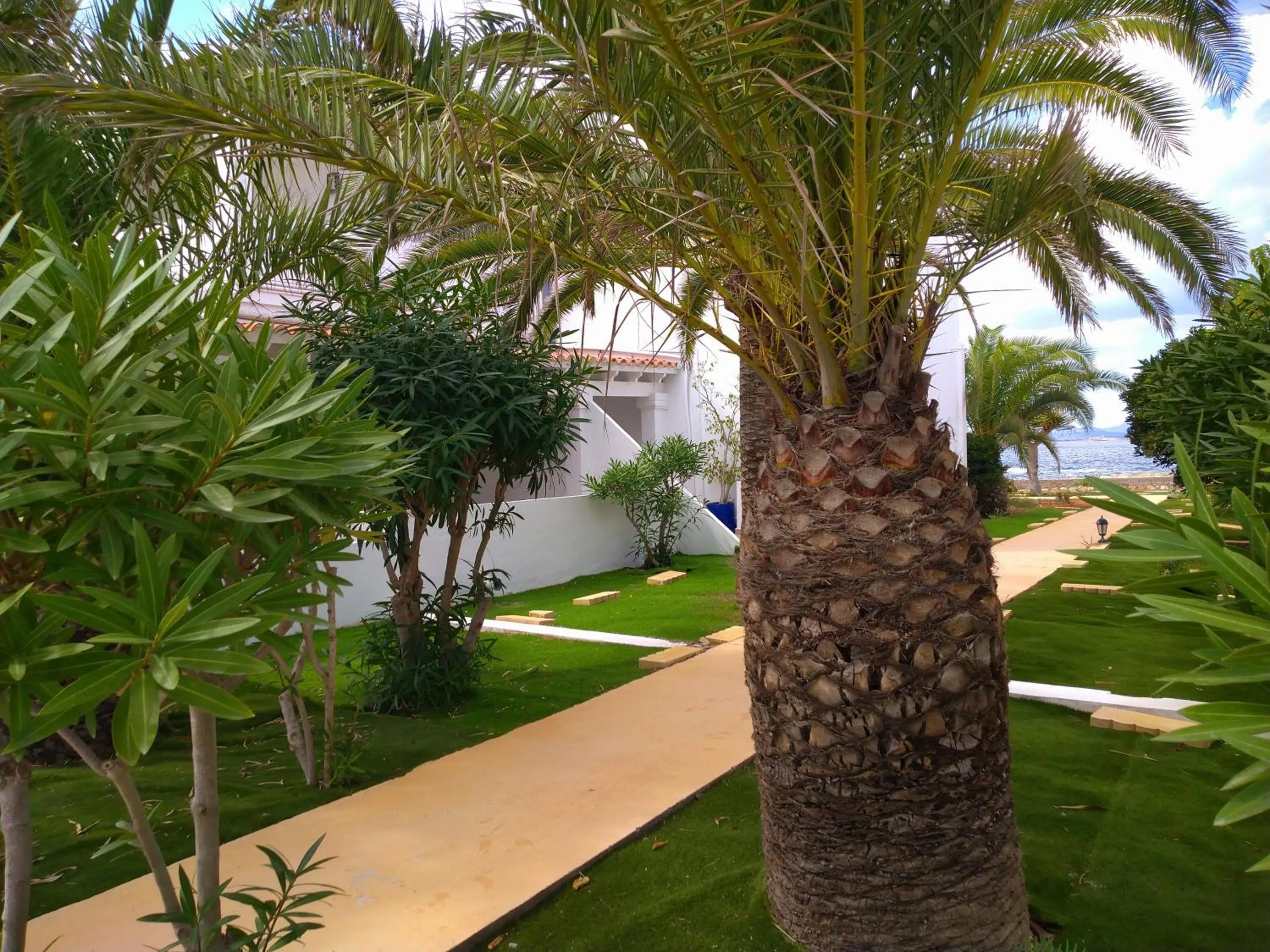 Garden in Hotel Roca Bella