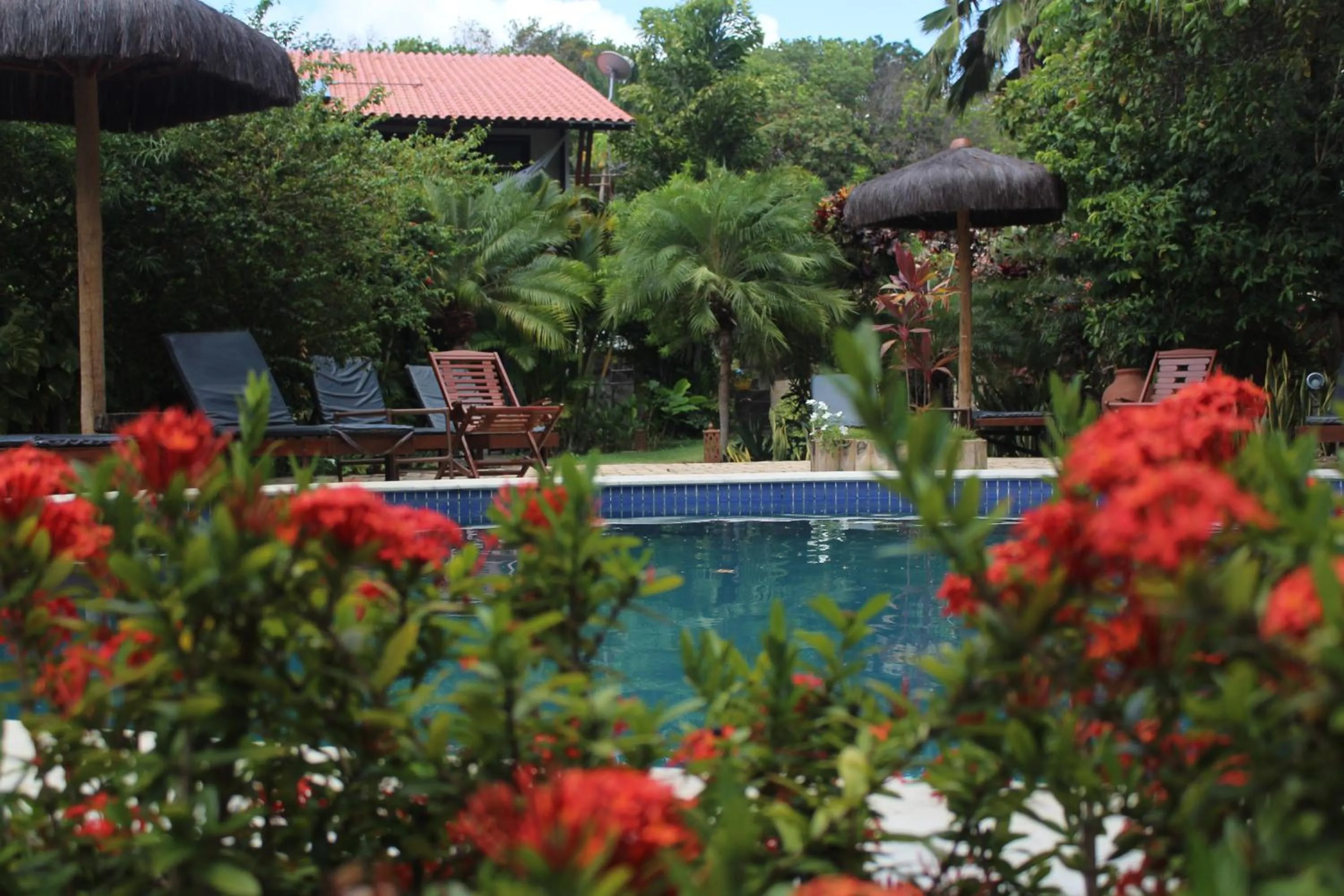 Pool view in Pousada Coco Fresco