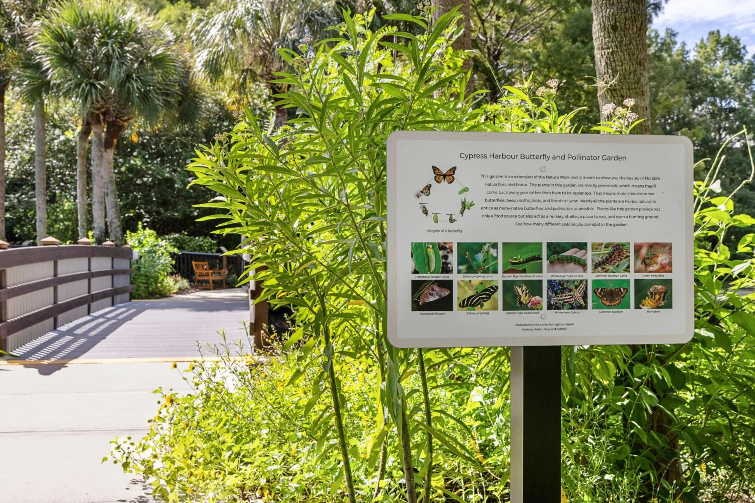 Other in Marriott's Cypress Harbour Villas