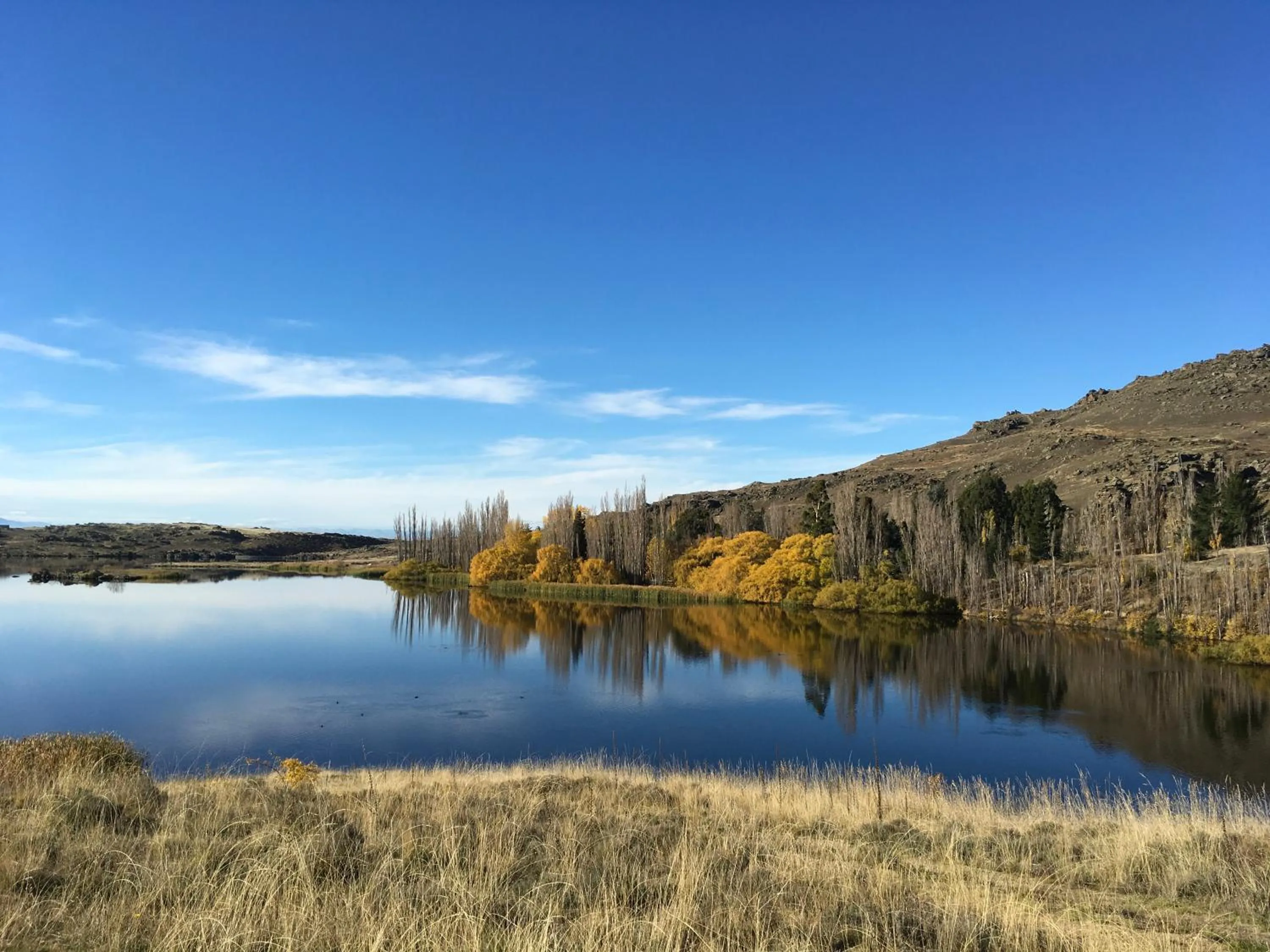 Natural landscape in Lye Bow Lake Suite