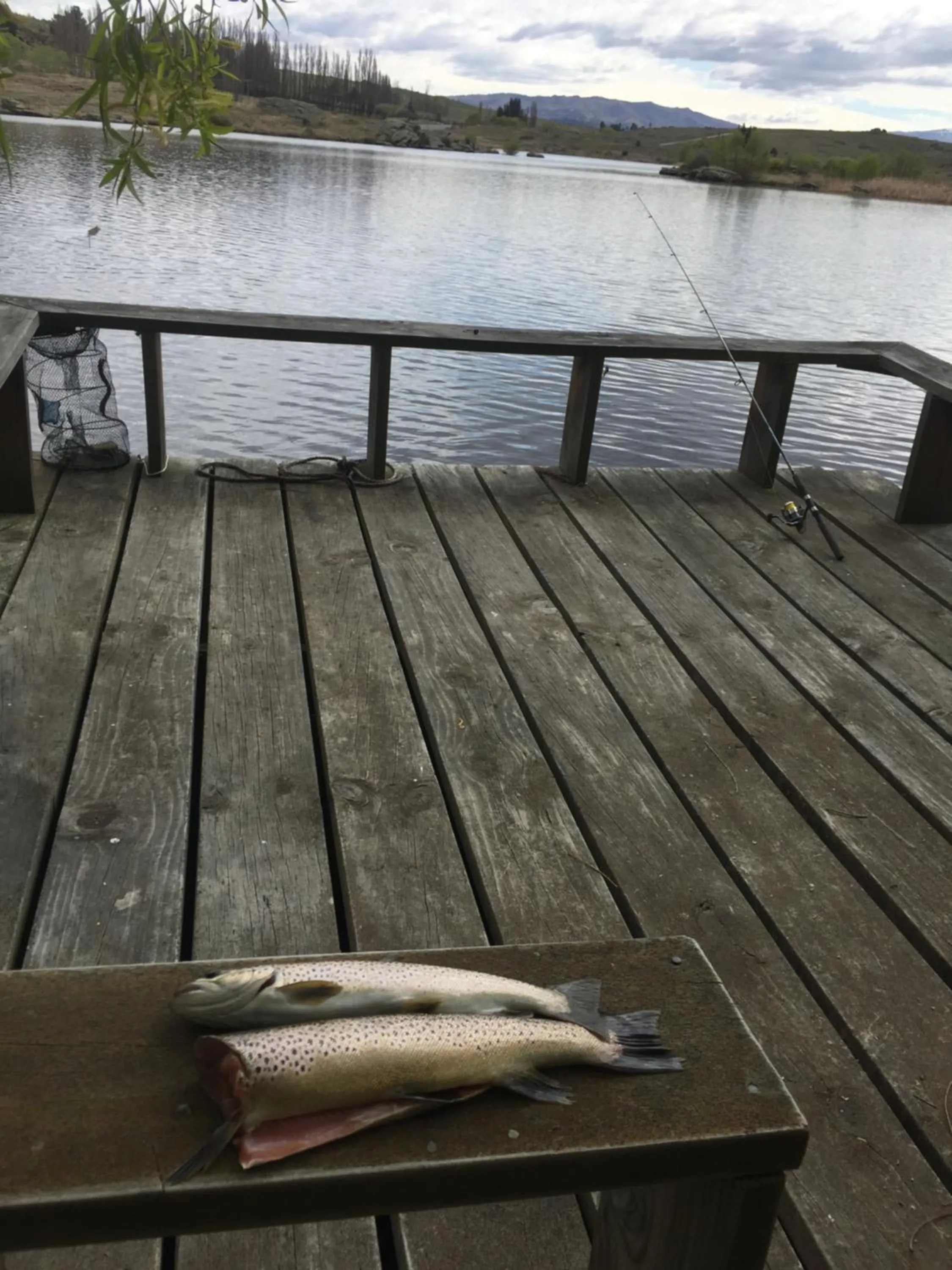 Fishing in Lye Bow Lake Suite
