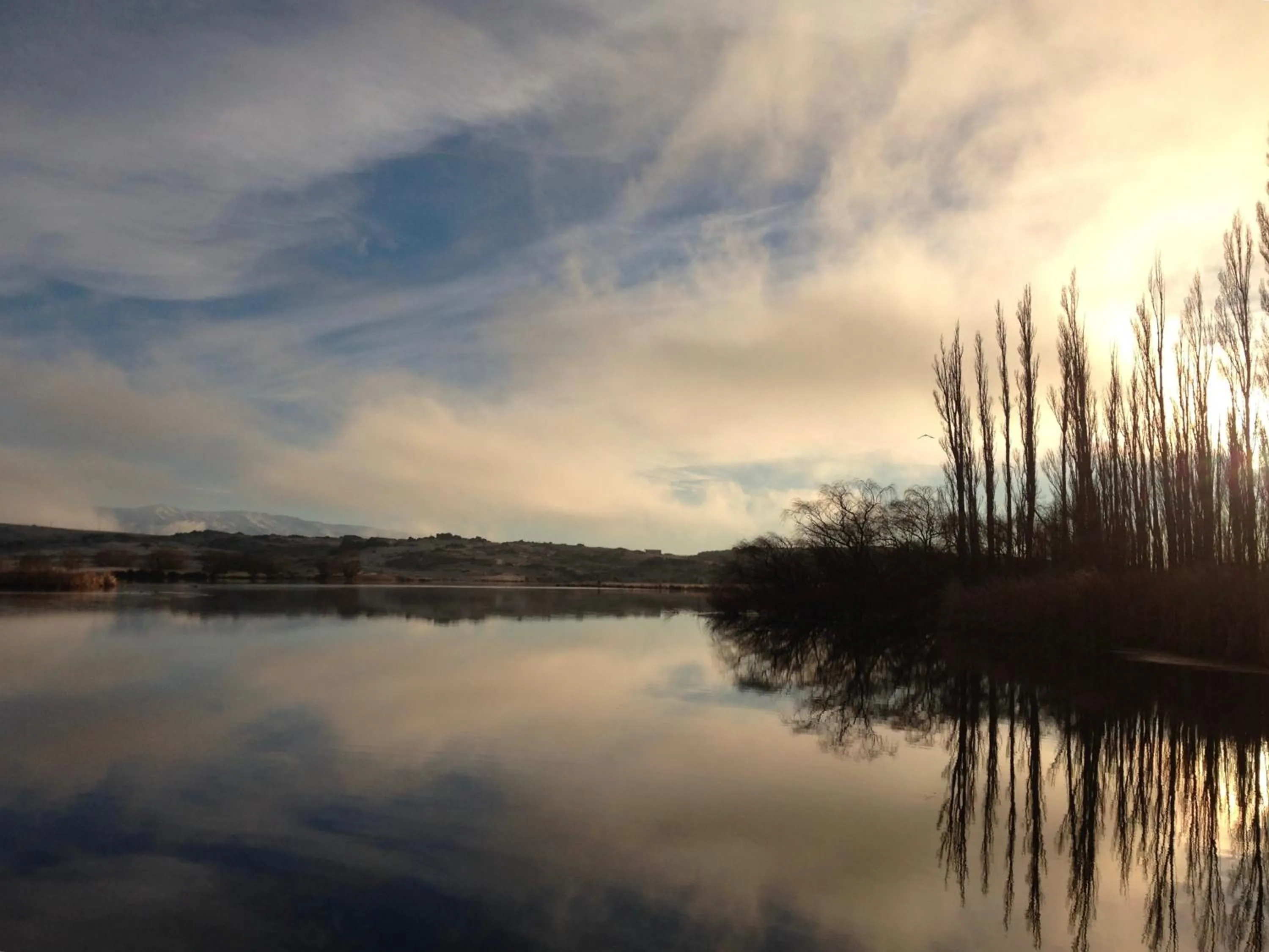 Garden in Lye Bow Lake Suite