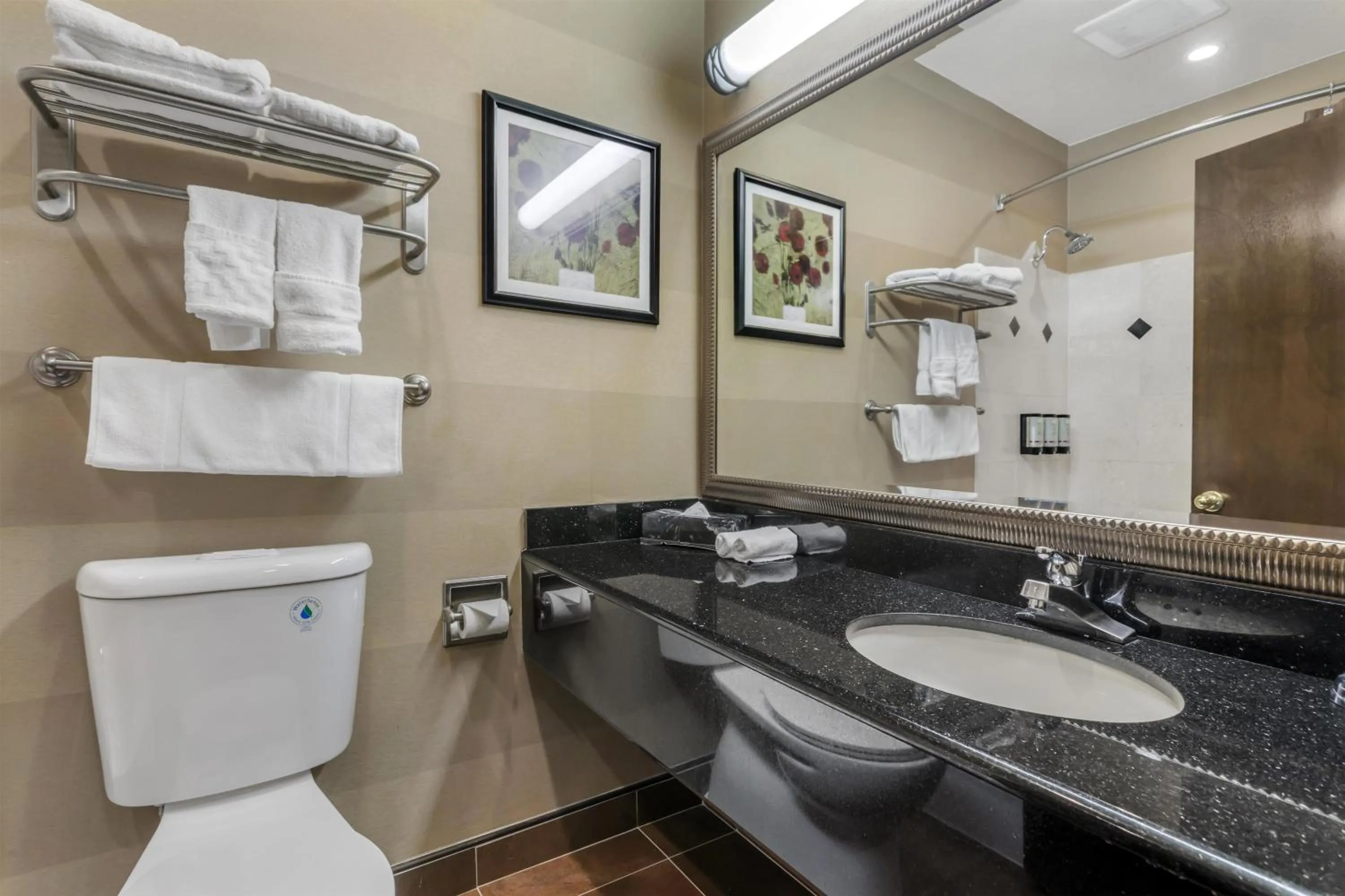 Bathroom in Best Western Plus Brookside Inn