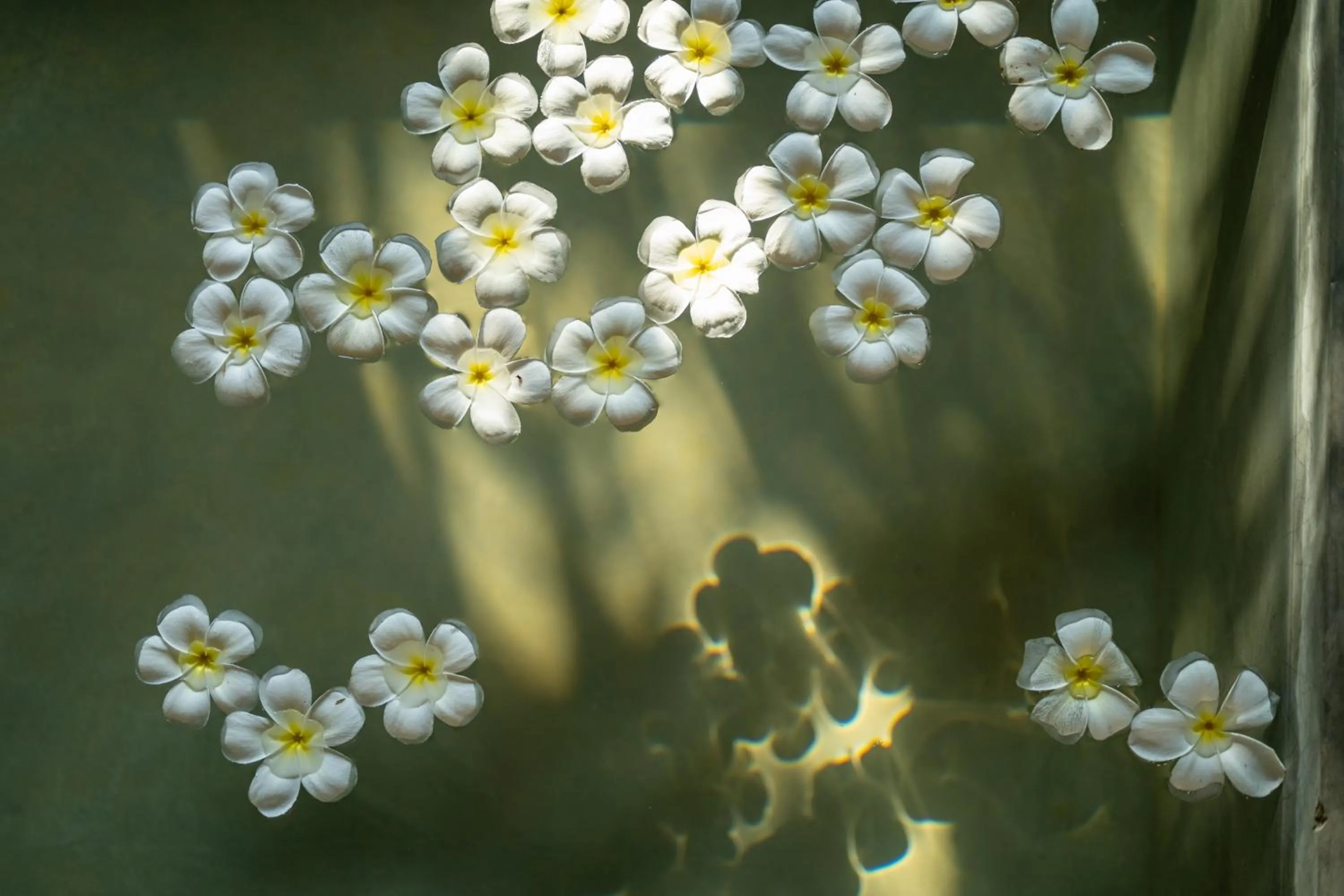 Swimming pool in Wirdana Resort & Spa