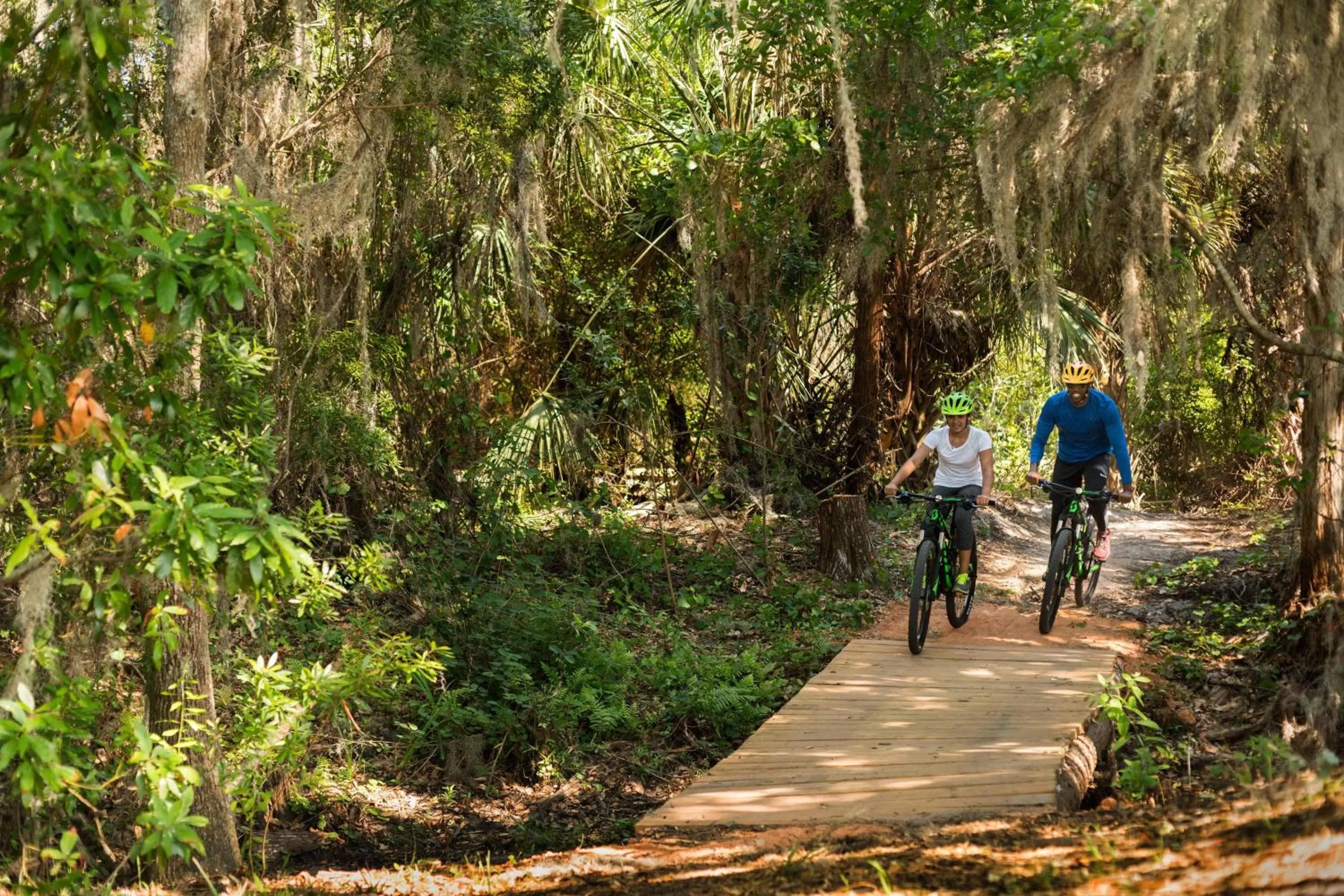 Other in The Ritz-Carlton Orlando, Grande Lakes