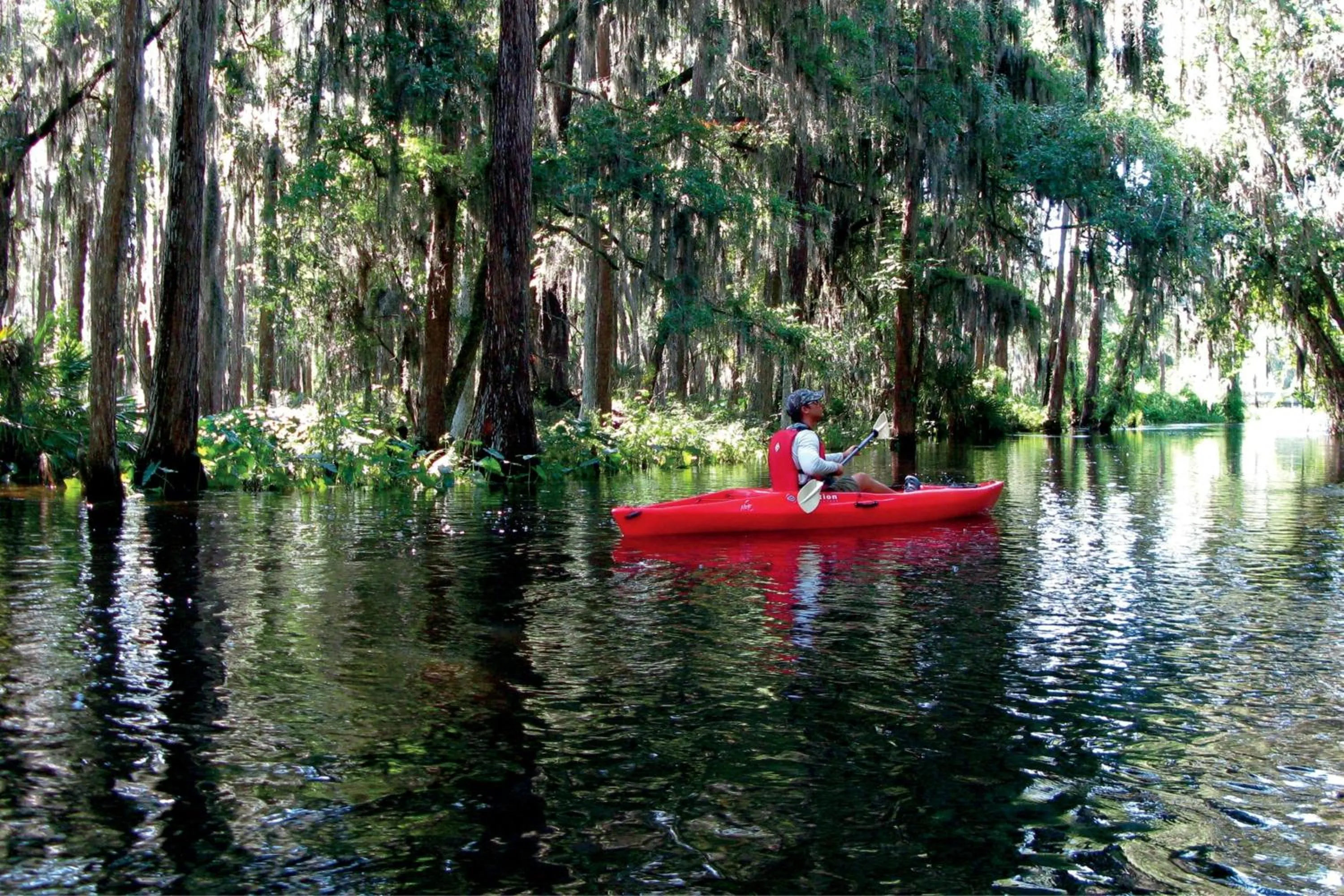 Other in The Ritz-Carlton Orlando, Grande Lakes