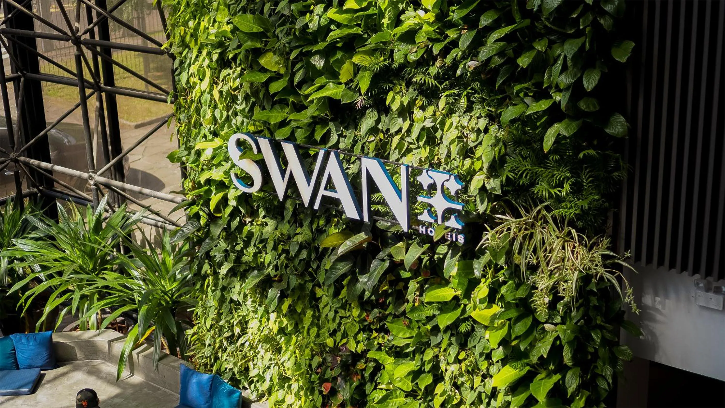 Swan Novo Hamburgo