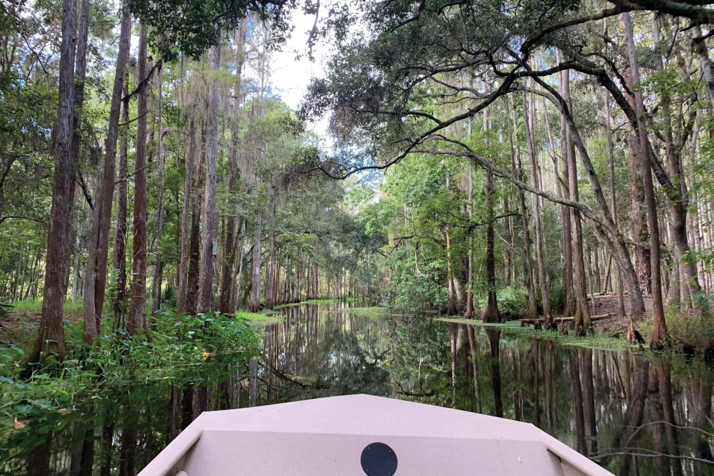 Other in JW Marriott Orlando Grande Lakes