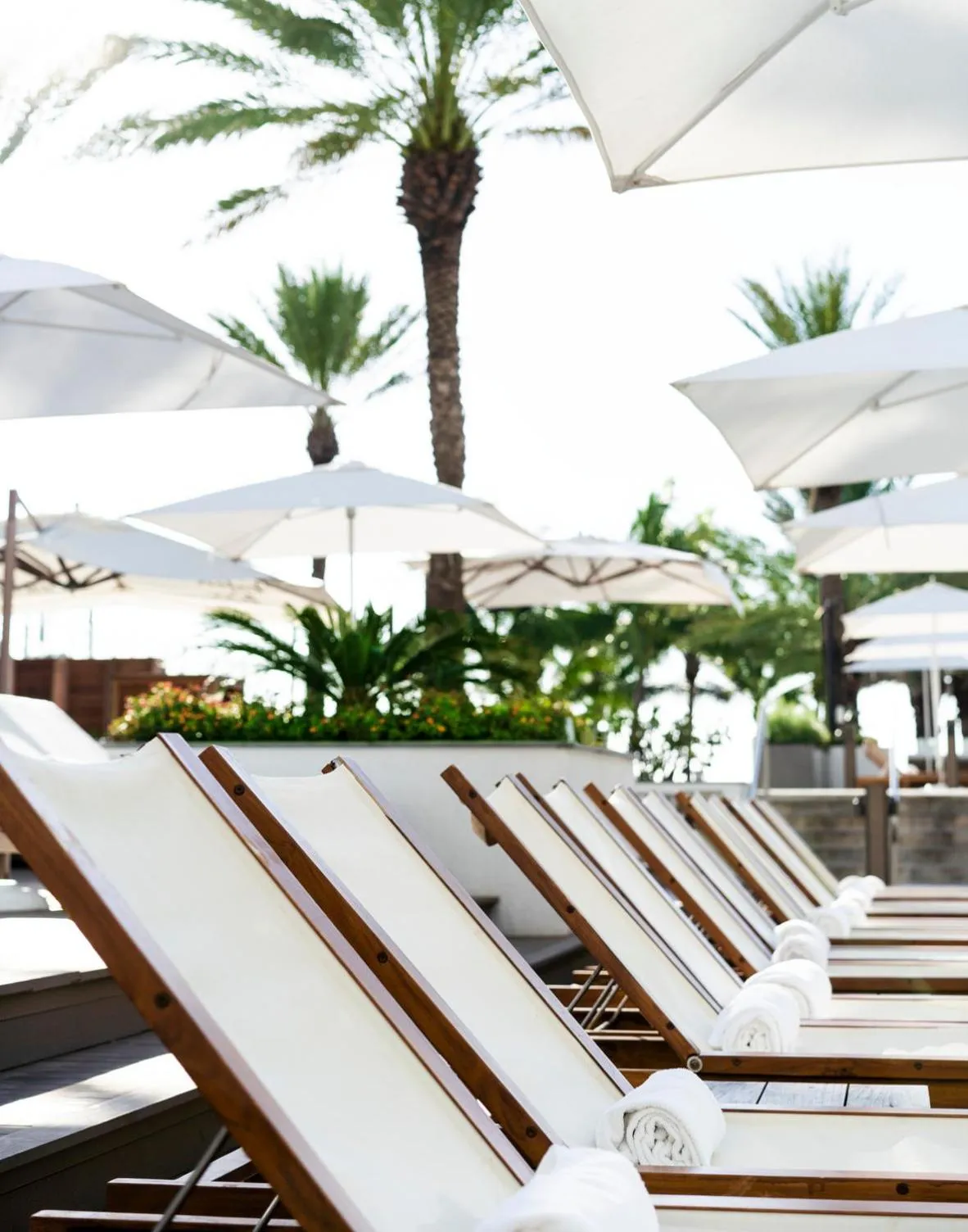 Swimming pool in Eden Roc Miami Beach