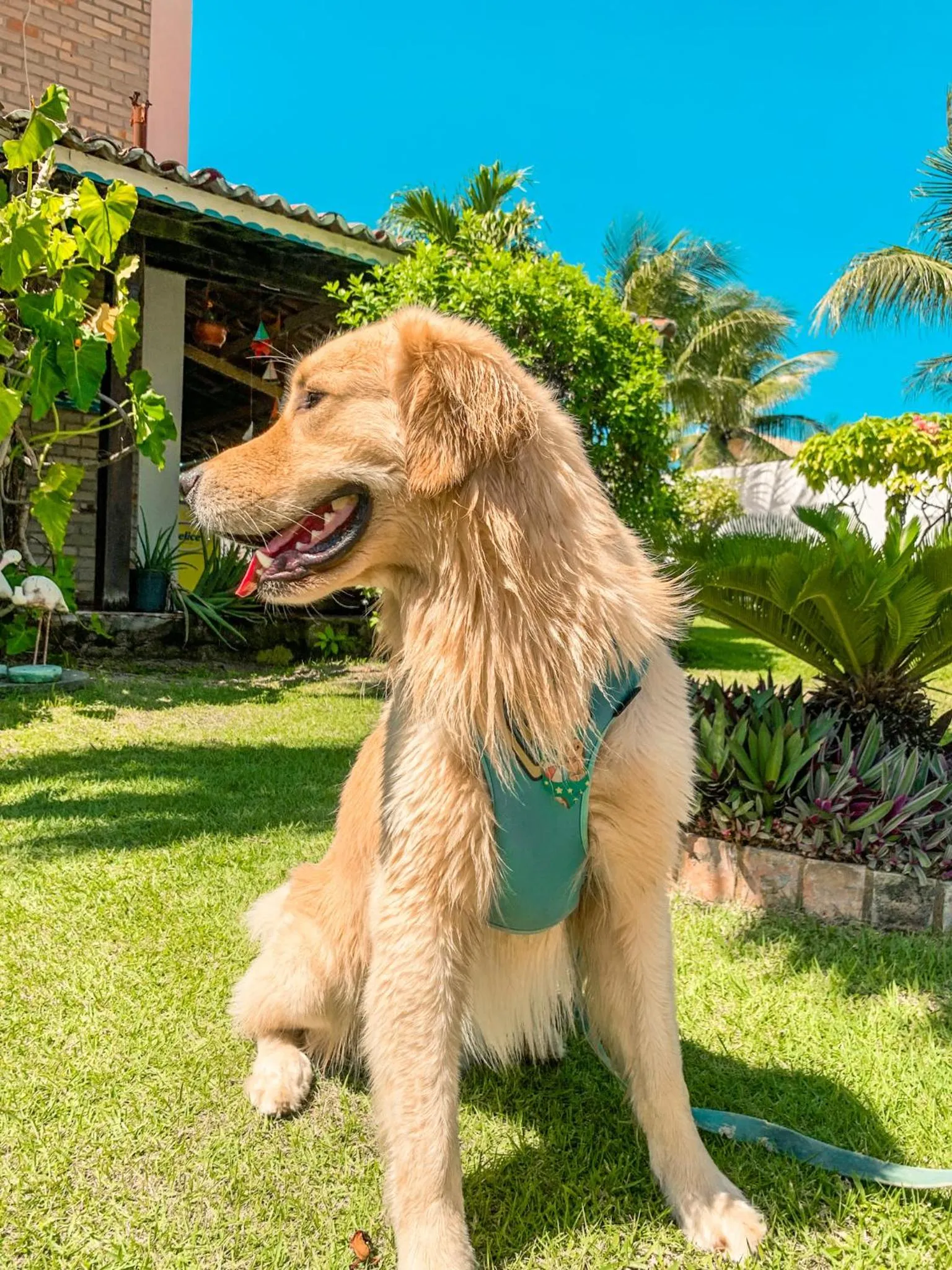 Day in Pousada La Goduria