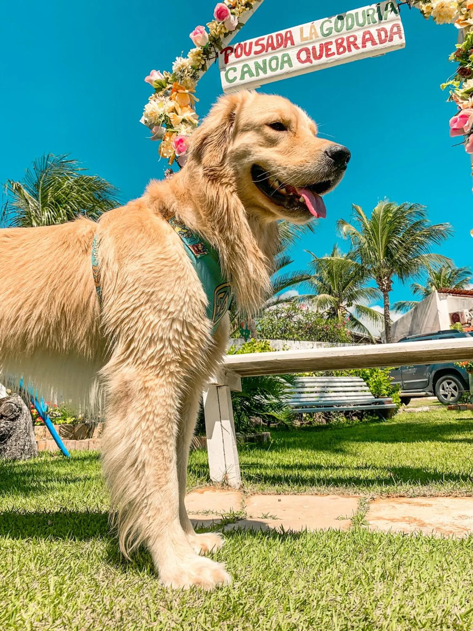 Garden in Pousada La Goduria