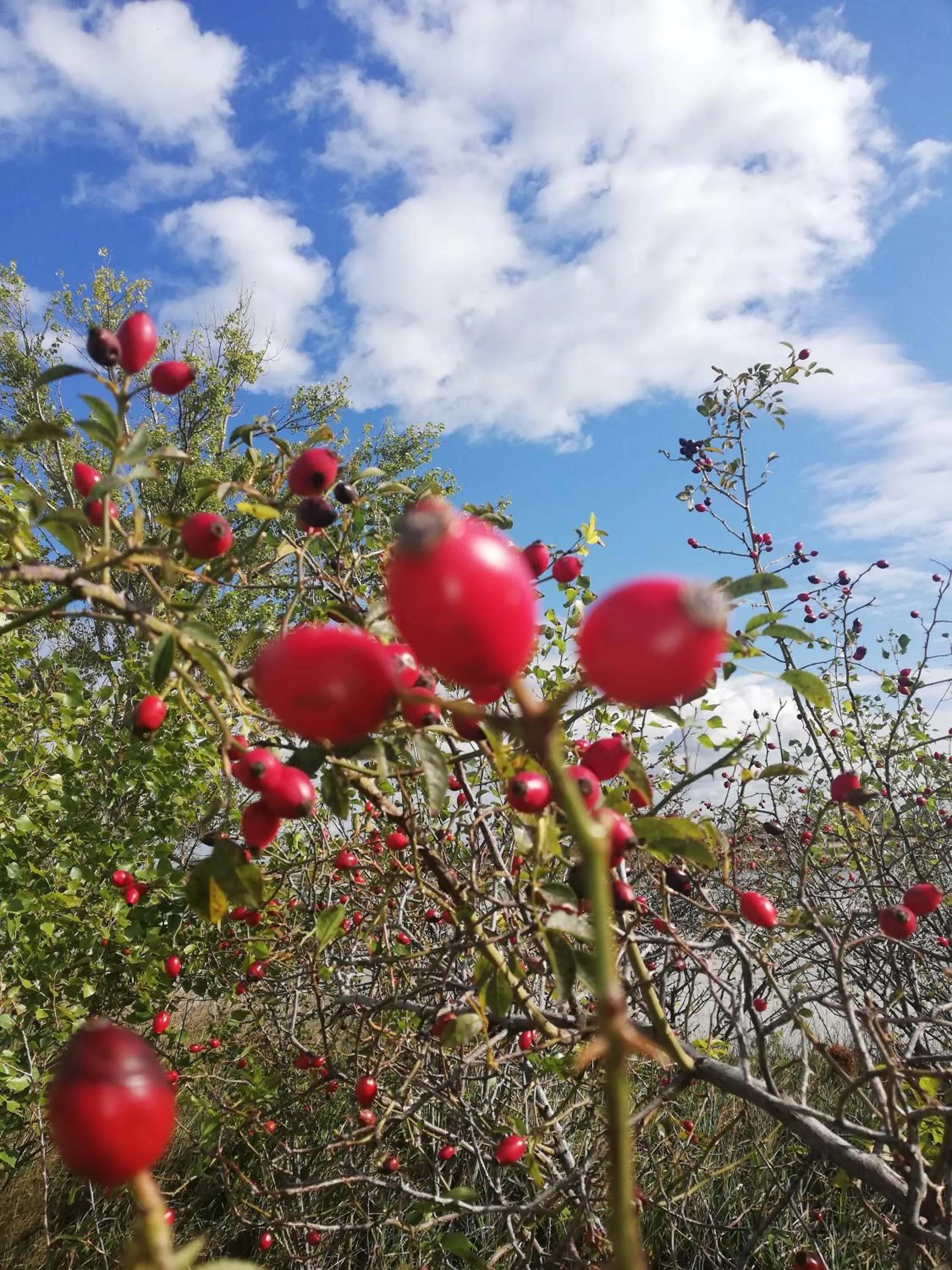 Hiking in Ferienherbergen S & J Zeisz