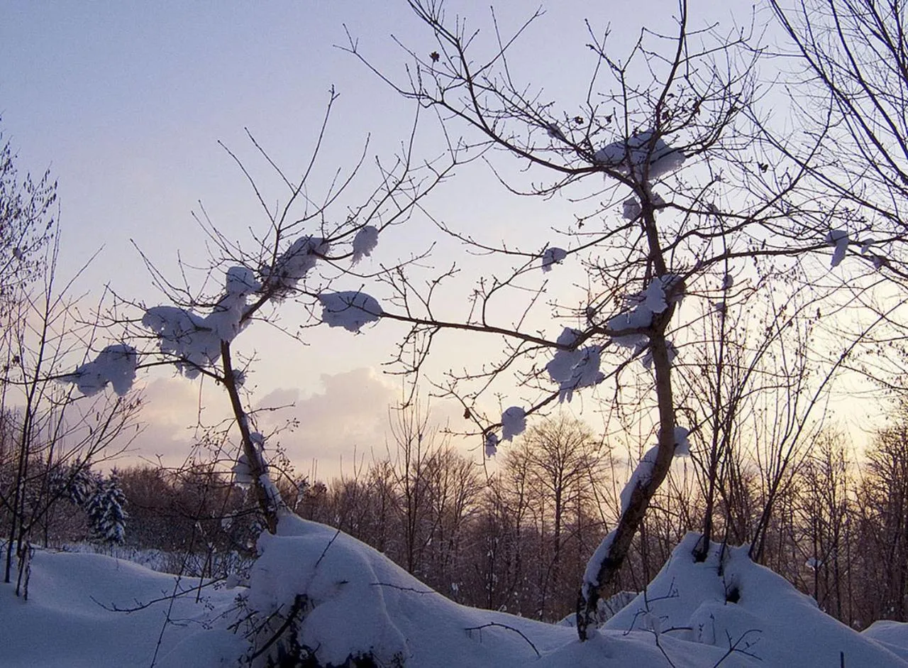 Natural landscape in Pas de Deux