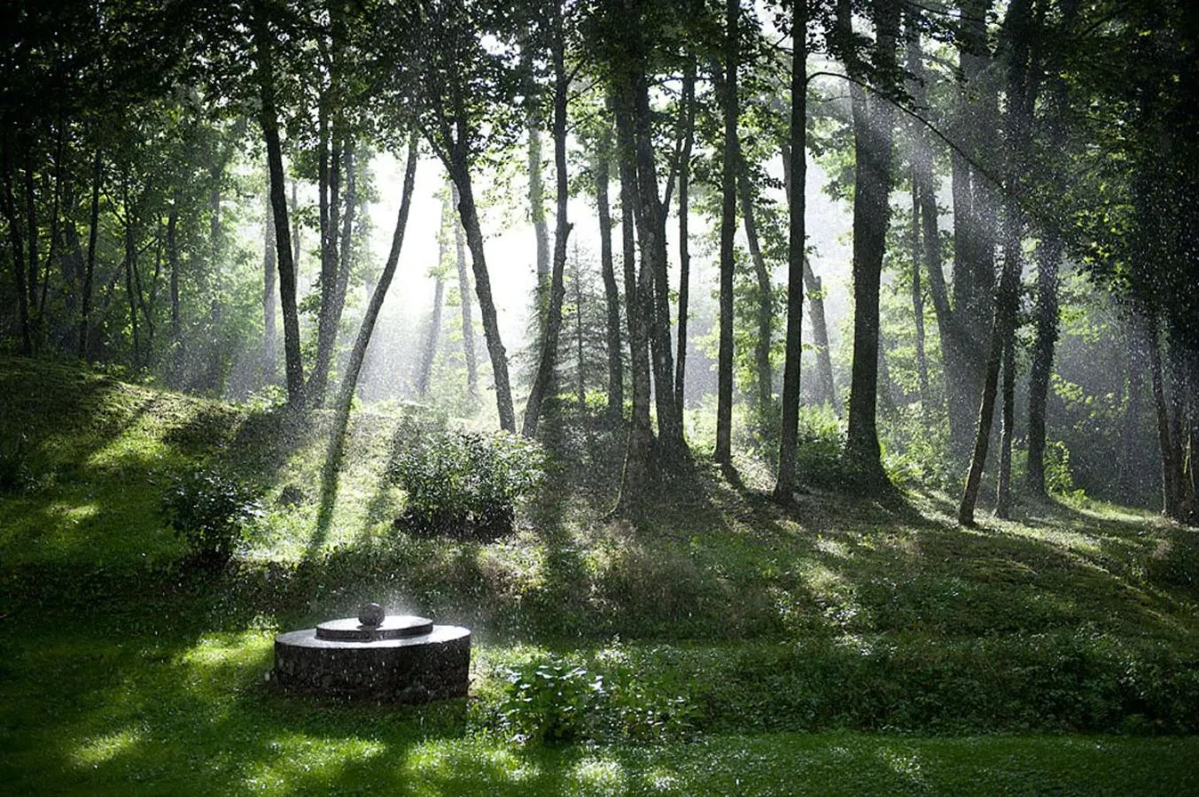 Garden in Pas de Deux