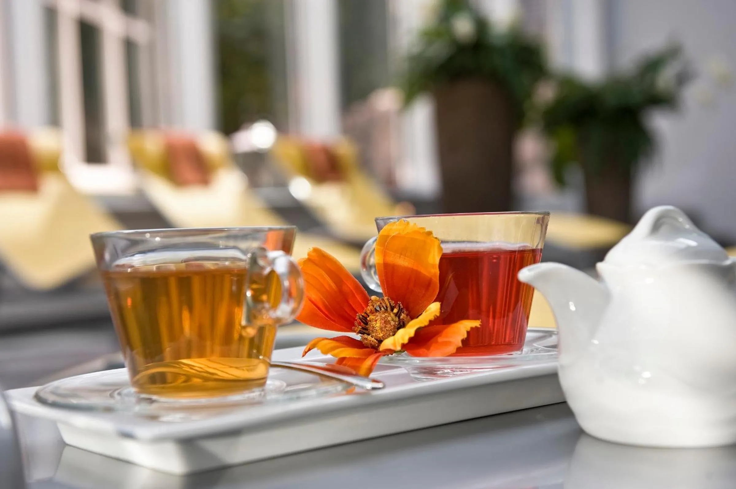 Sauna in Dorint Seehotel Binz-Therme