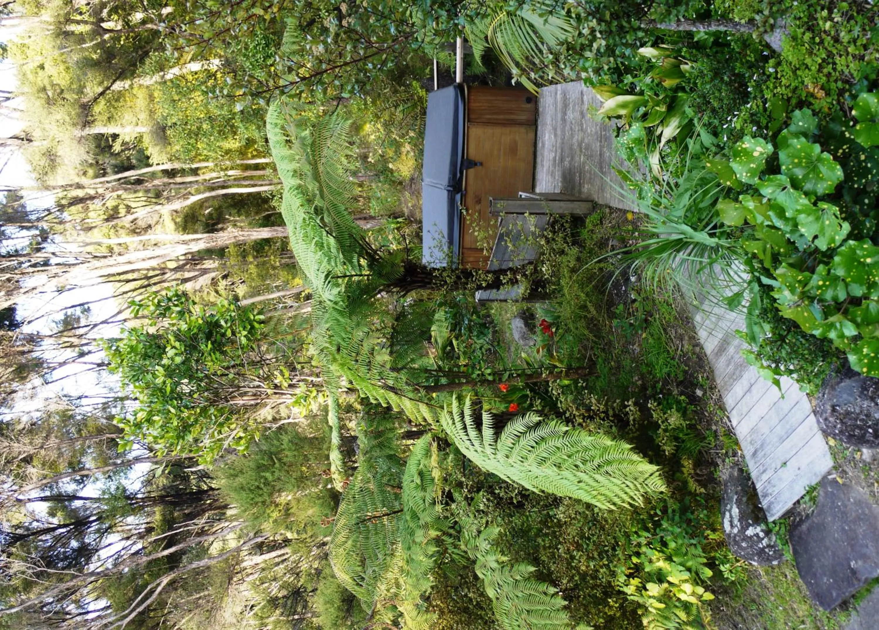 Day in Bay of Islands Holiday Apartments