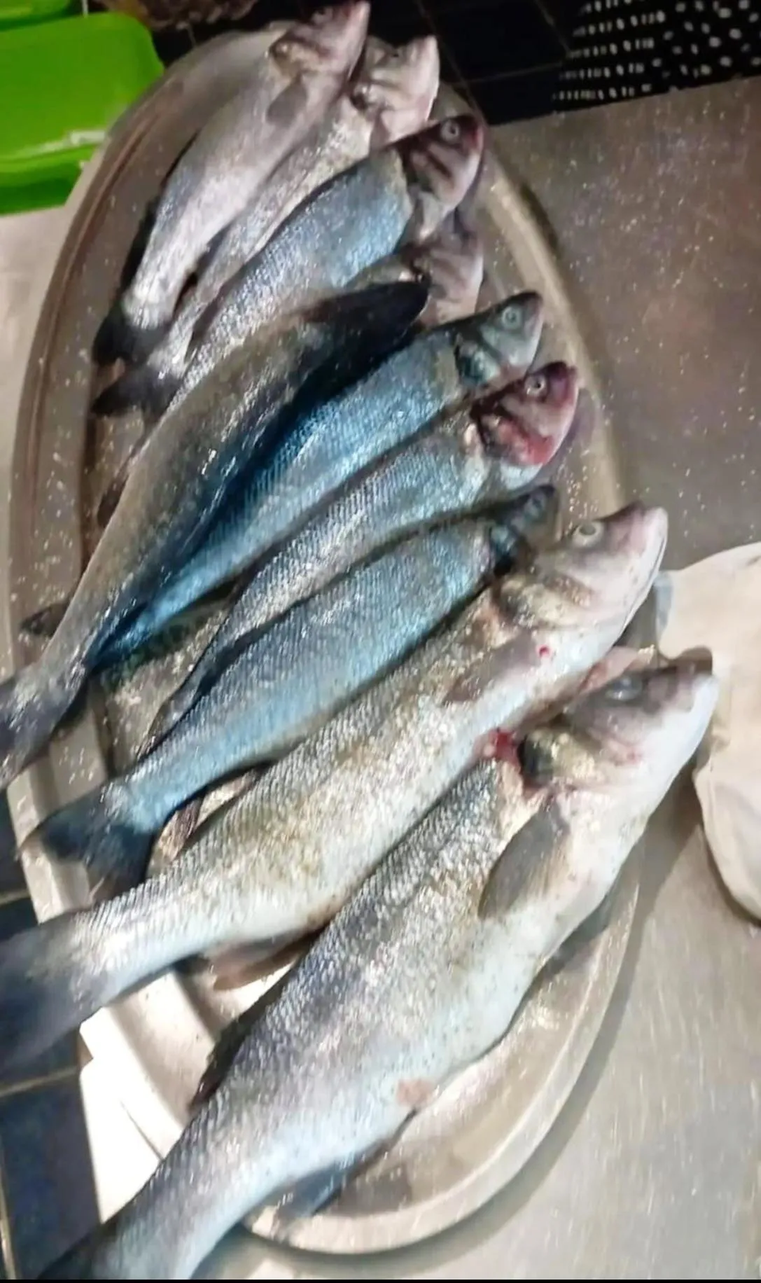 Food and drinks in Apartments and pansion M&R