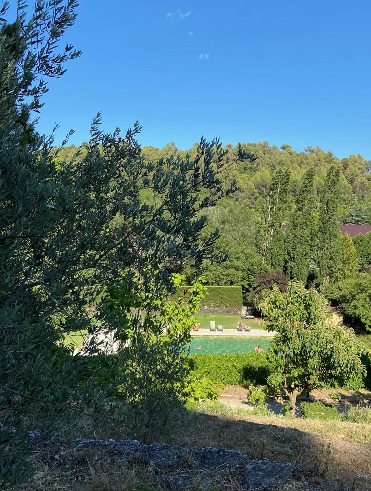 Garden in Hôtellerie Notre Dame de Lumières