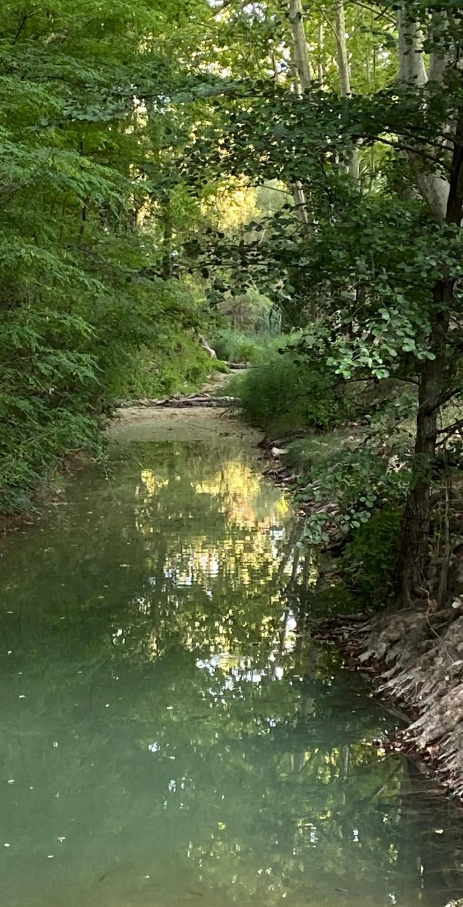 Hôtellerie Notre Dame de Lumières
