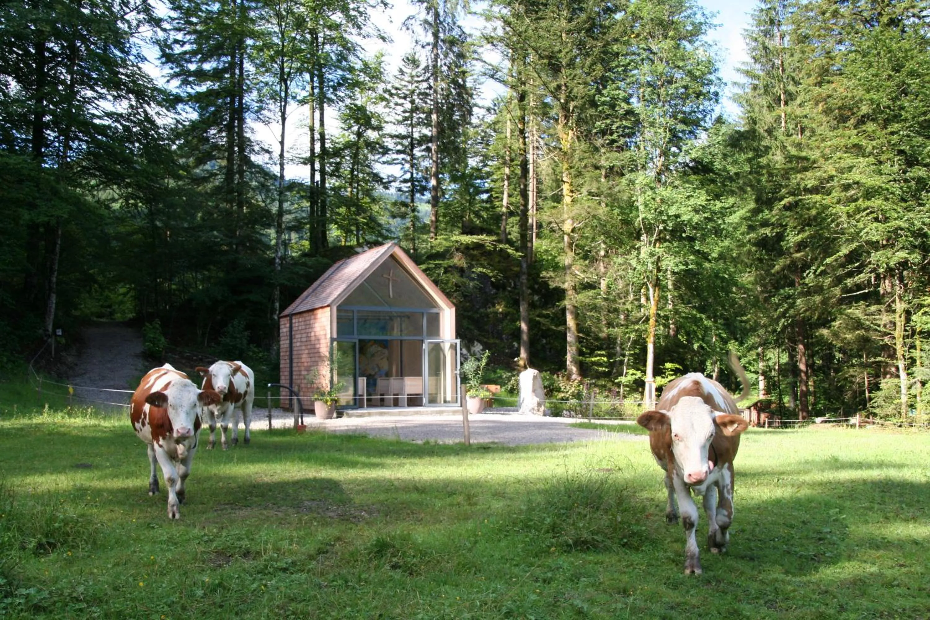 Animals in DAS Hintersee