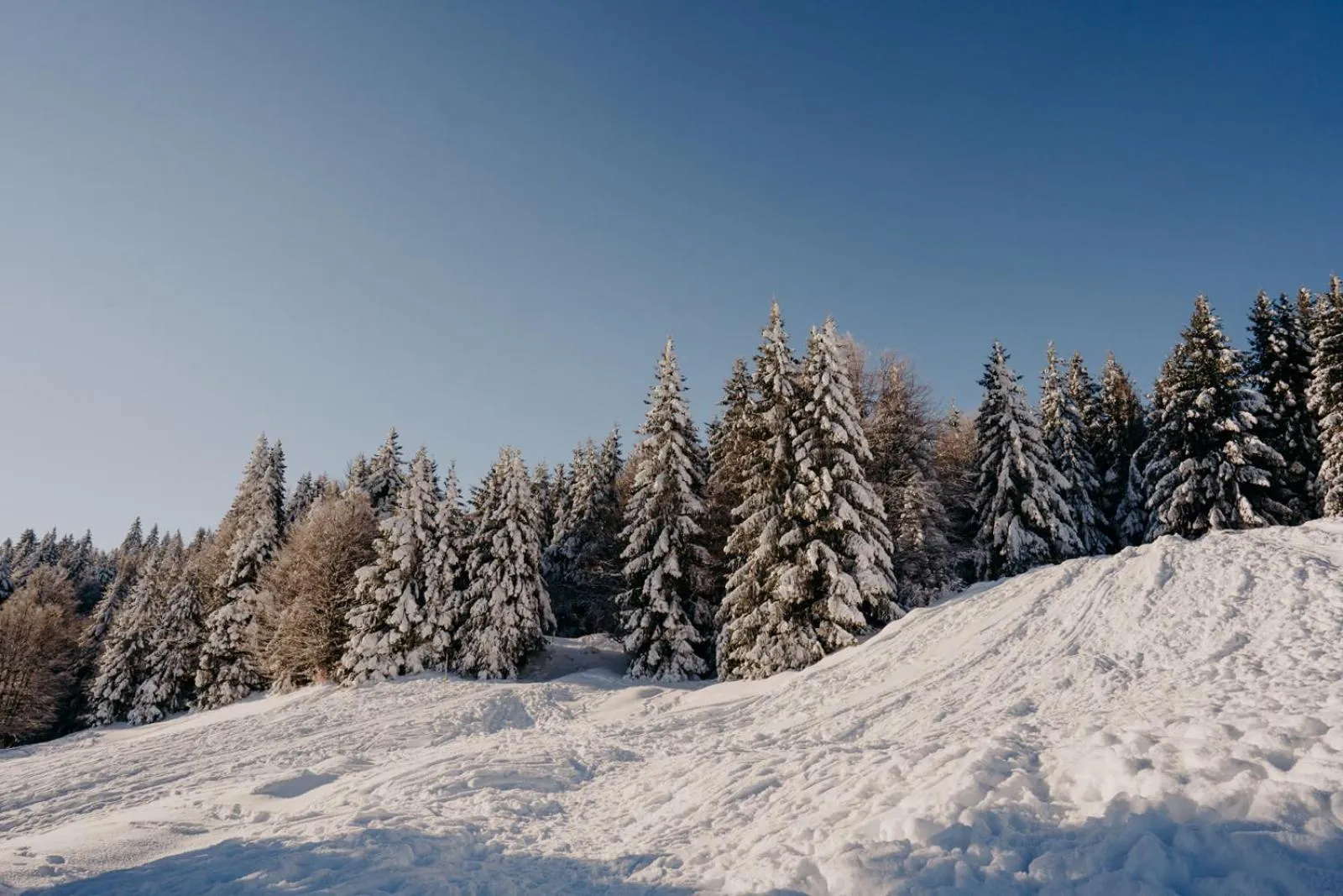 Activities in Hotel ibis budget Aix Les Bains - Grésy