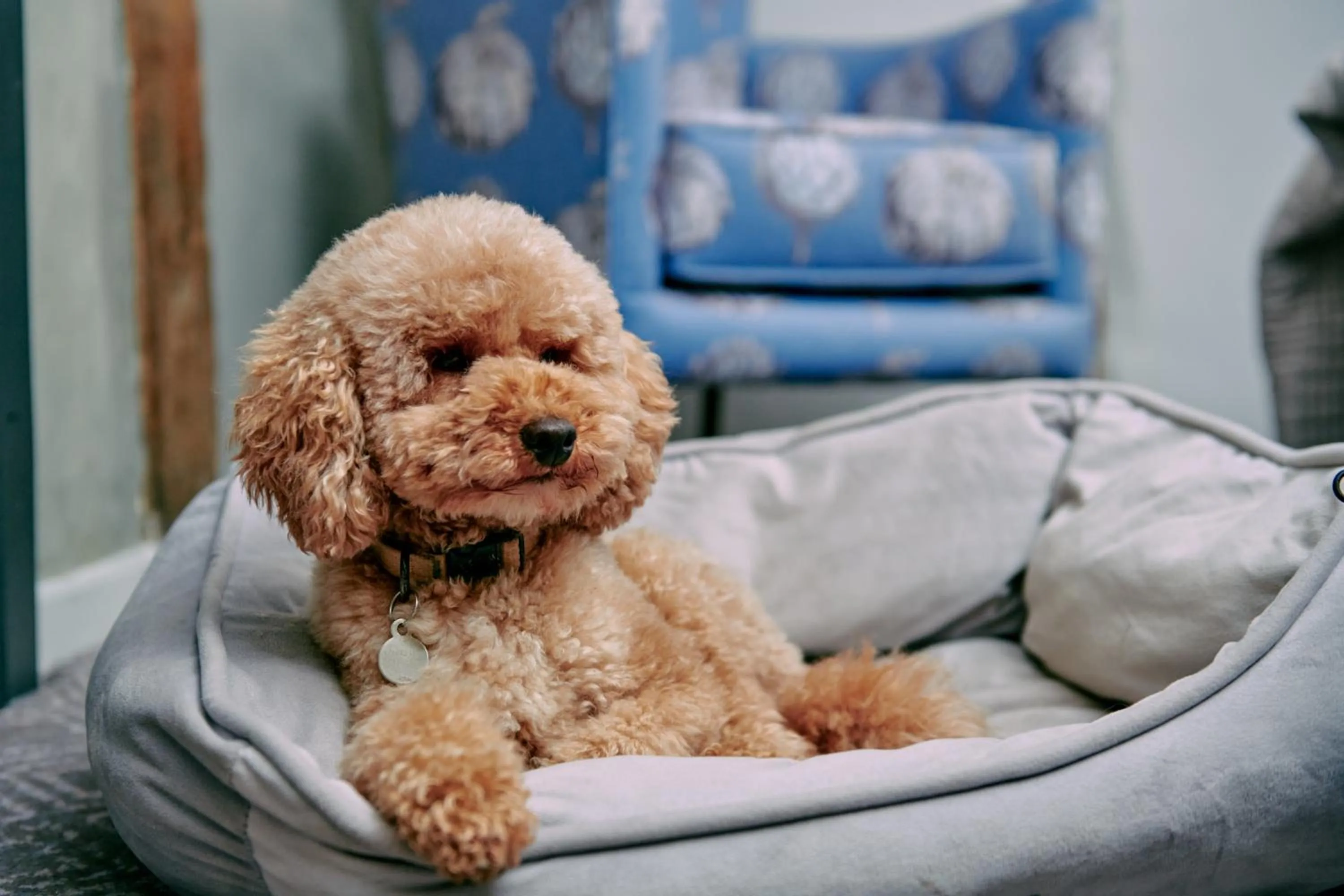 Bedroom in The Stag on the River
