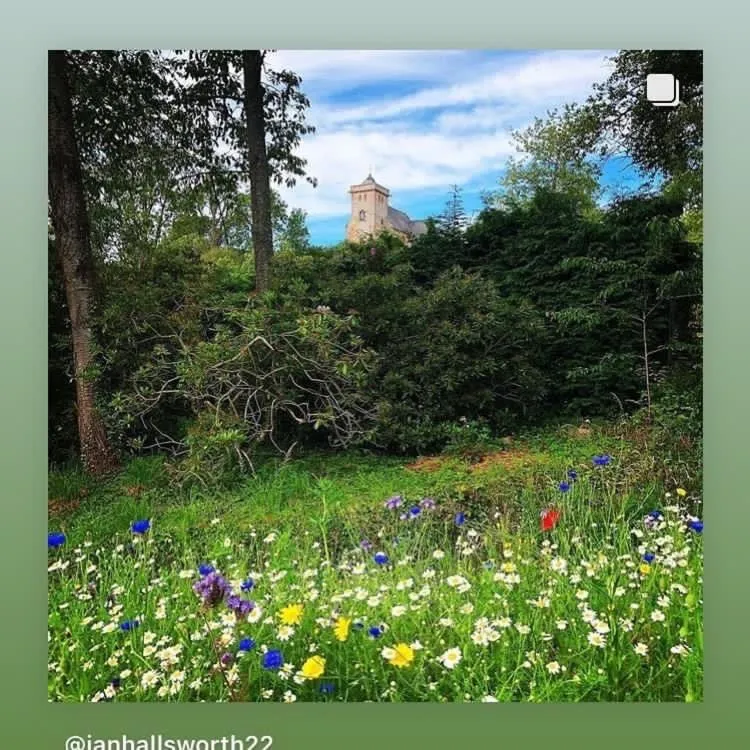 Garden in Bedrule Old Manse B&B