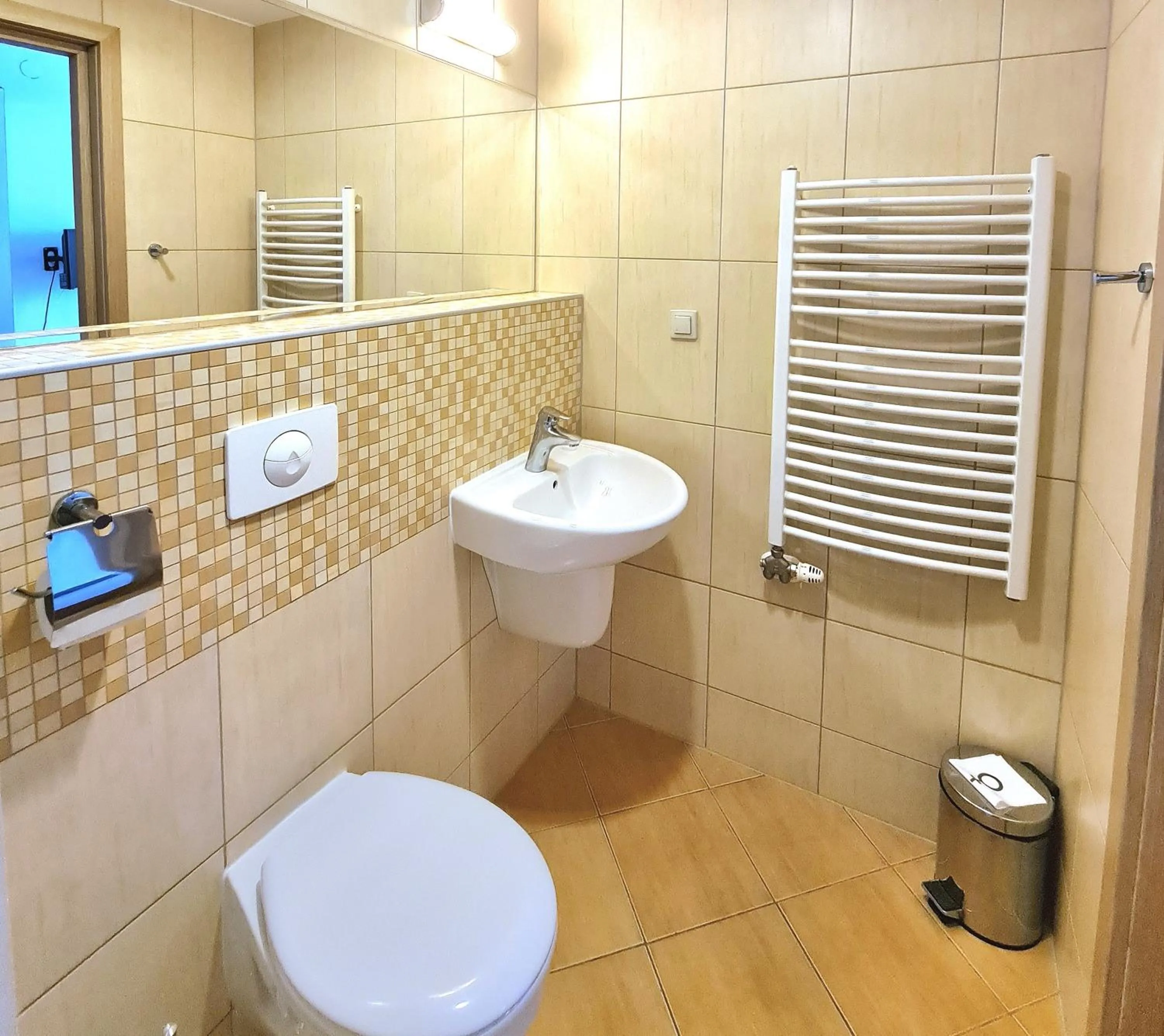 Bathroom in Ski Hotel