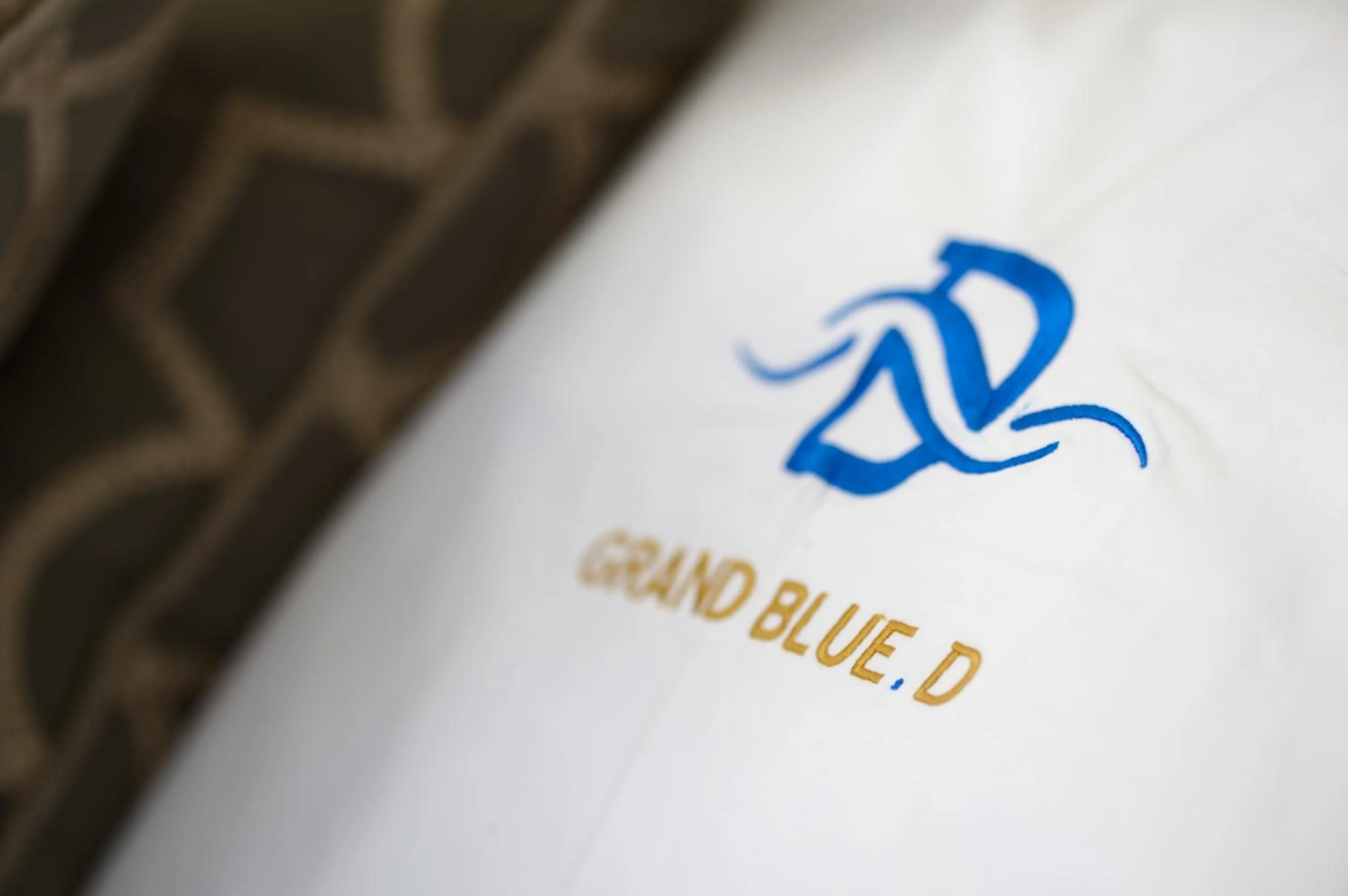 Decorative detail in Grand Blue D