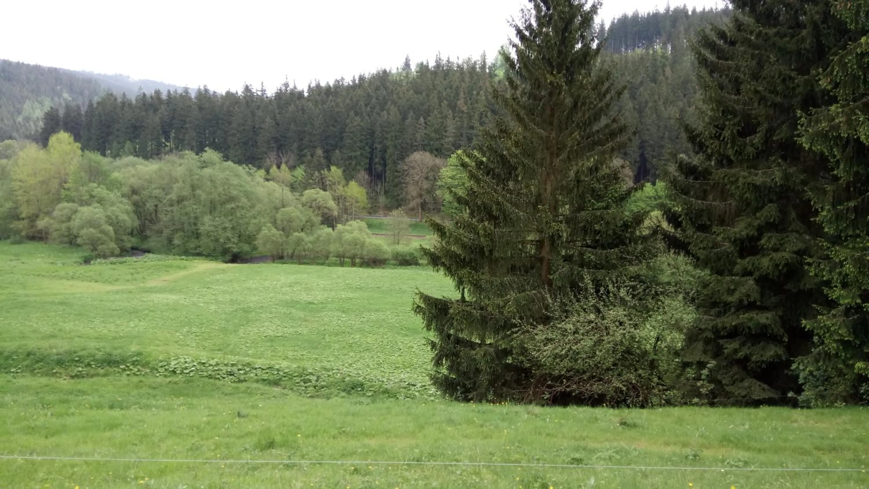 Hotel Thüringer Wald