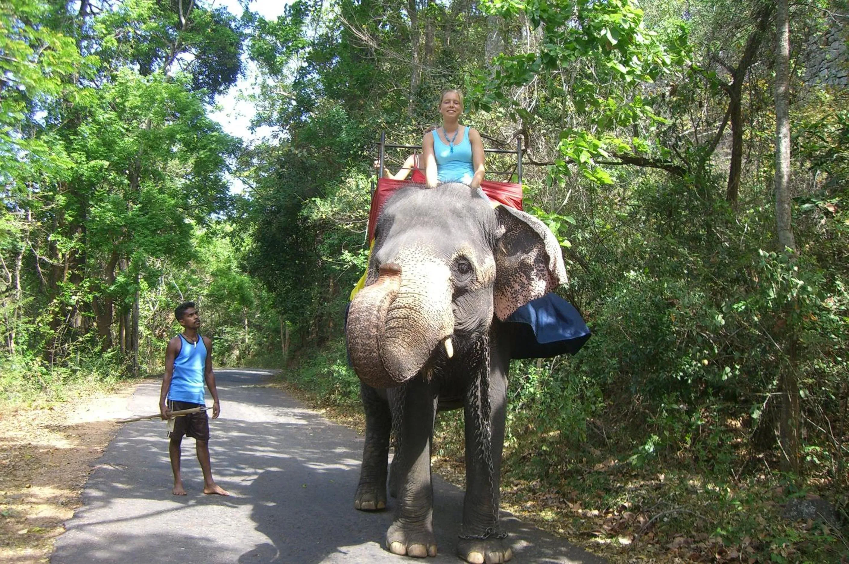 group of guests in Risenlak Holiday Resort