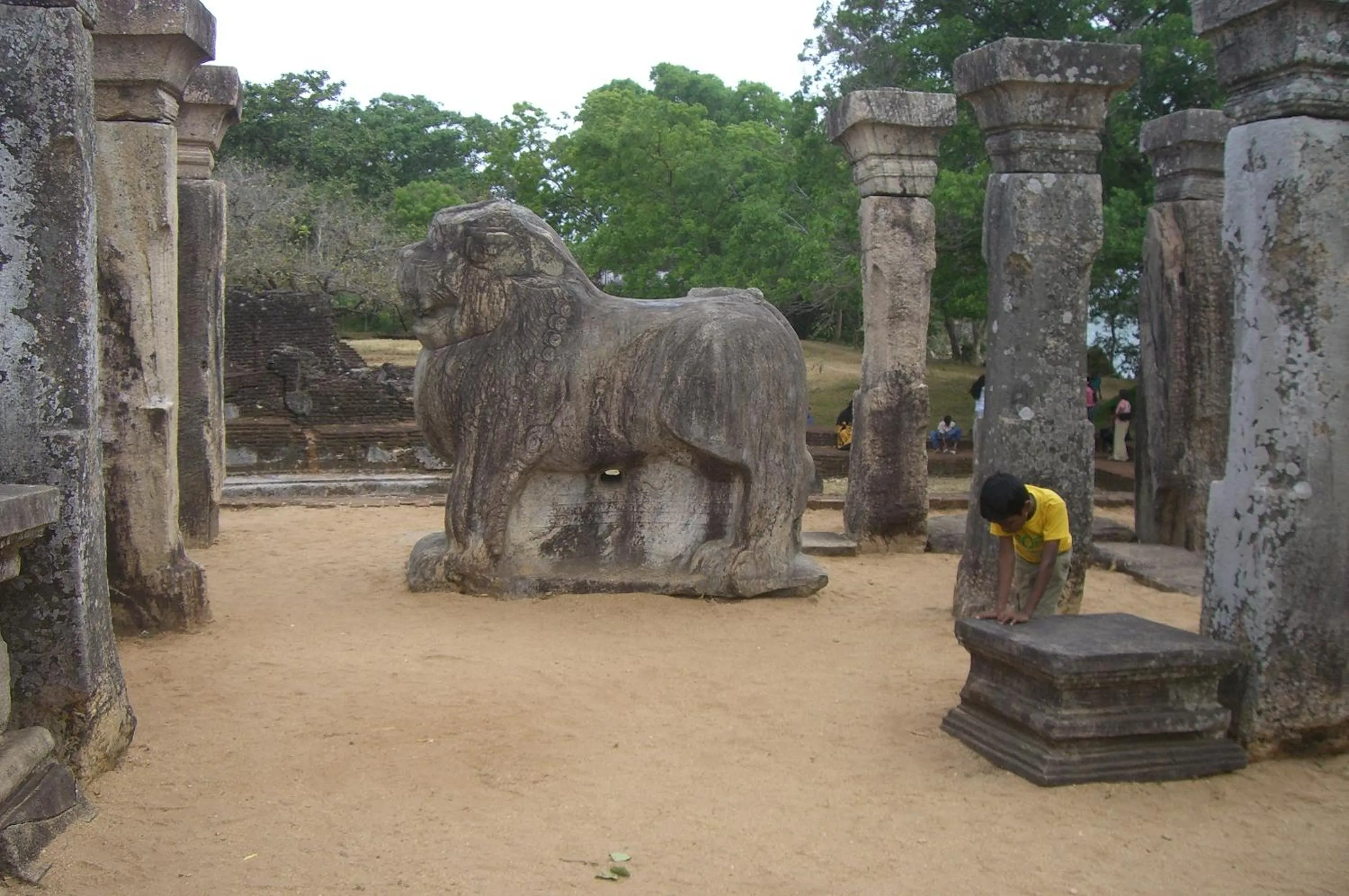 Animals in Risenlak Holiday Resort