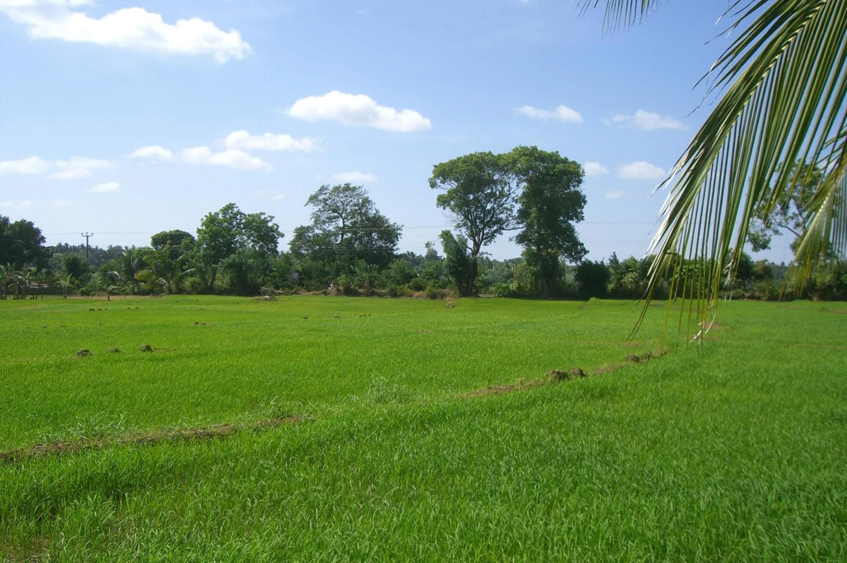 Garden view in Risenlak Holiday Resort