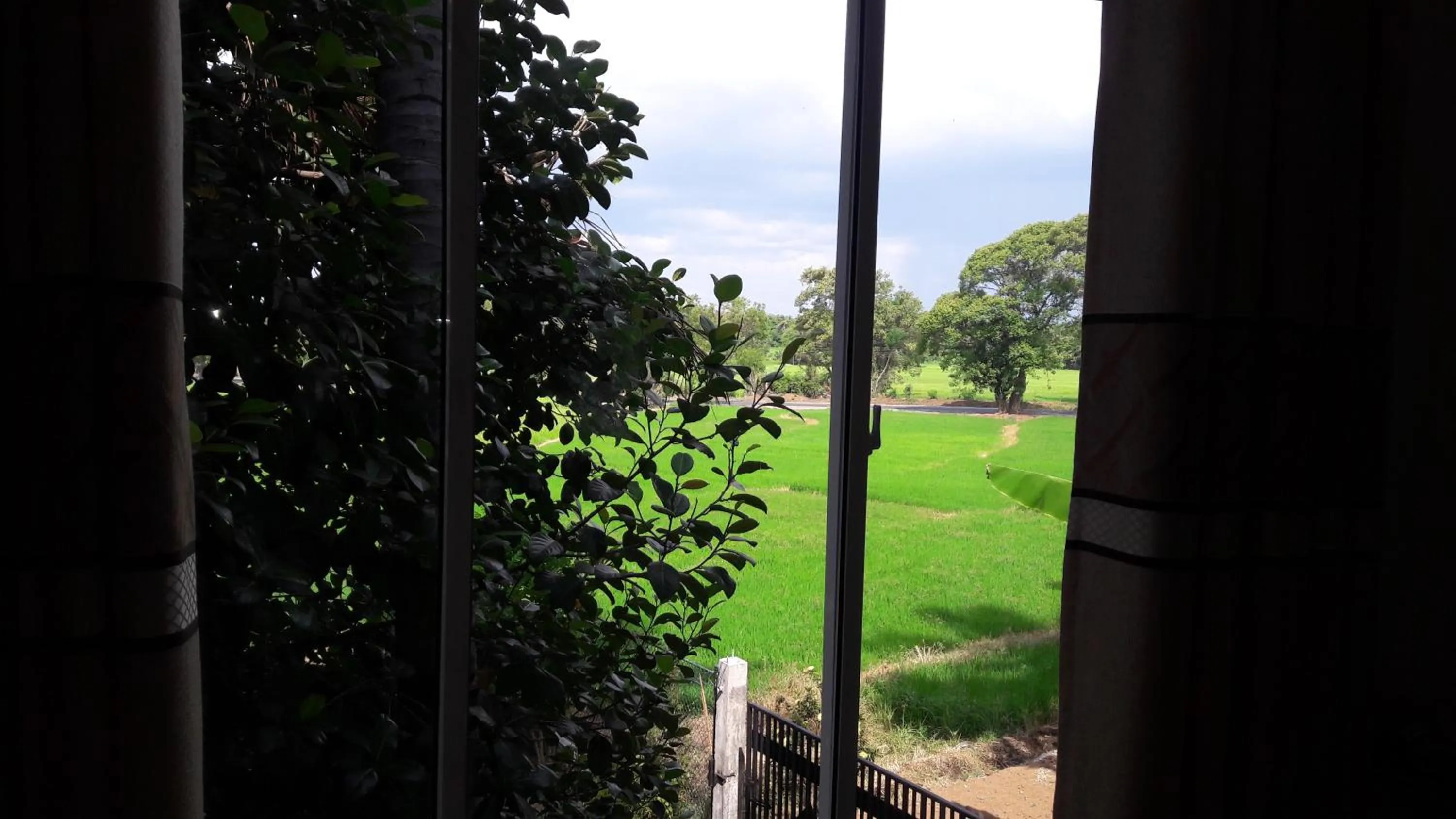 Garden view in Risenlak Holiday Resort