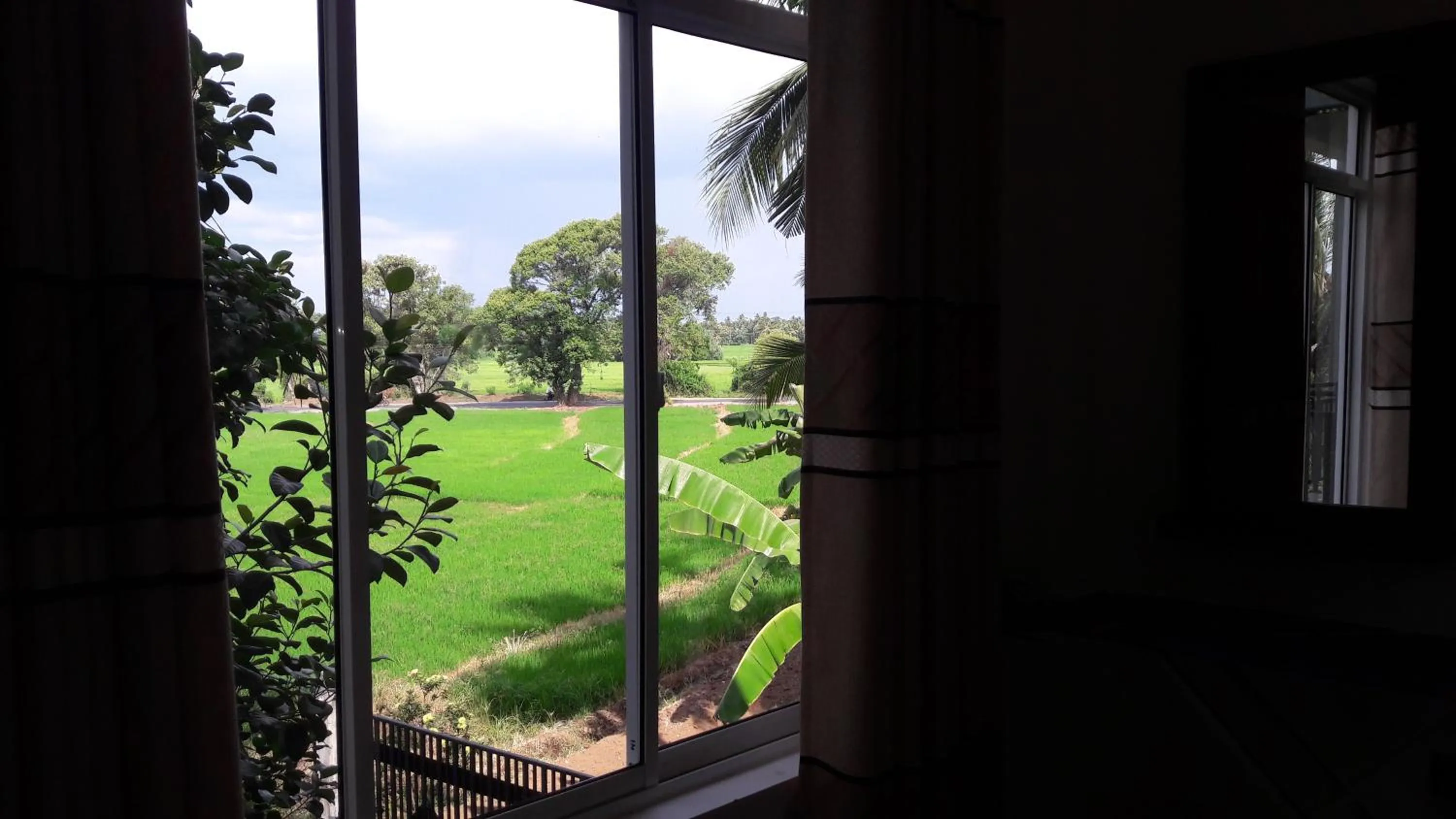 Garden view in Risenlak Holiday Resort