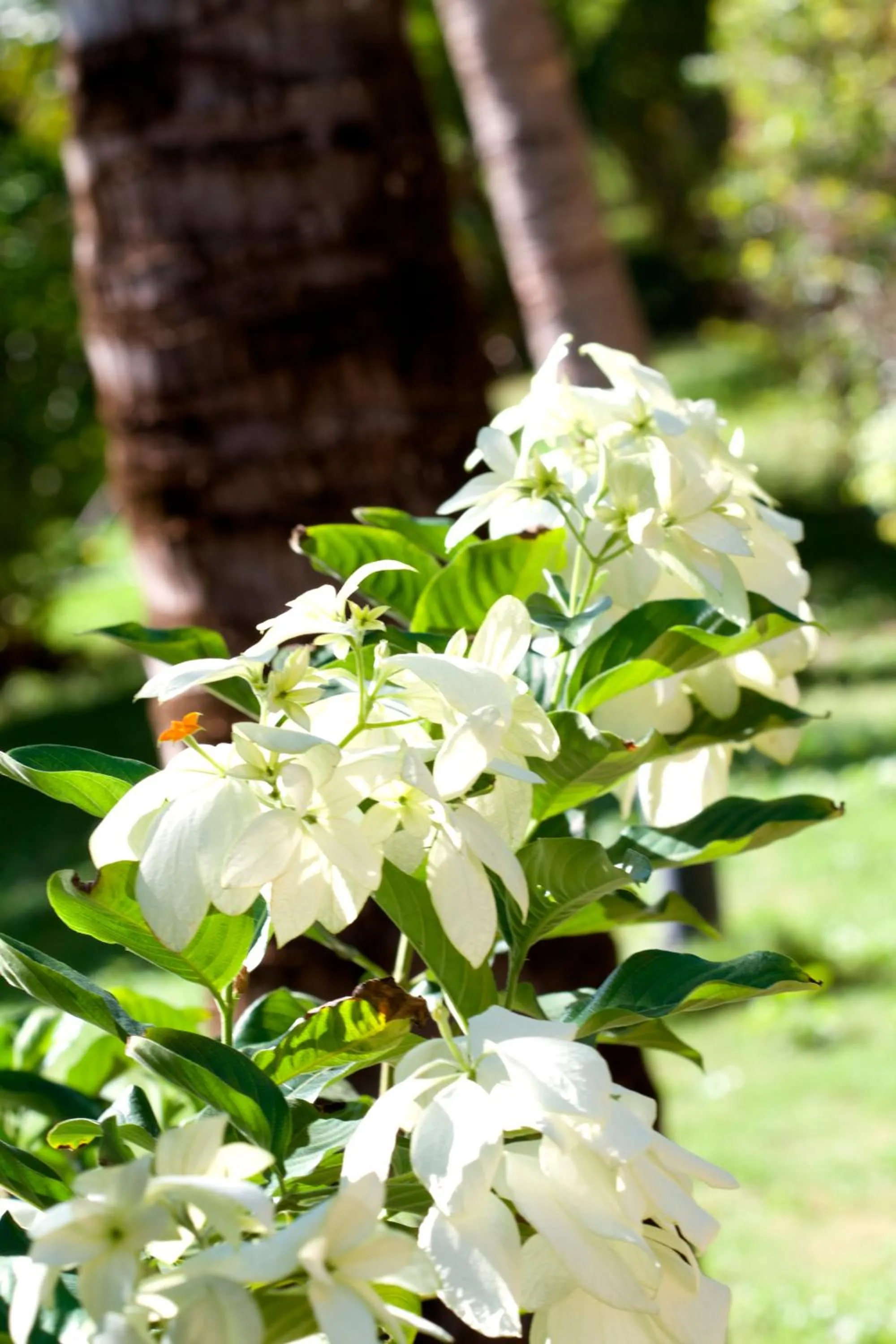 Natural landscape in Pousada Império do Sol
