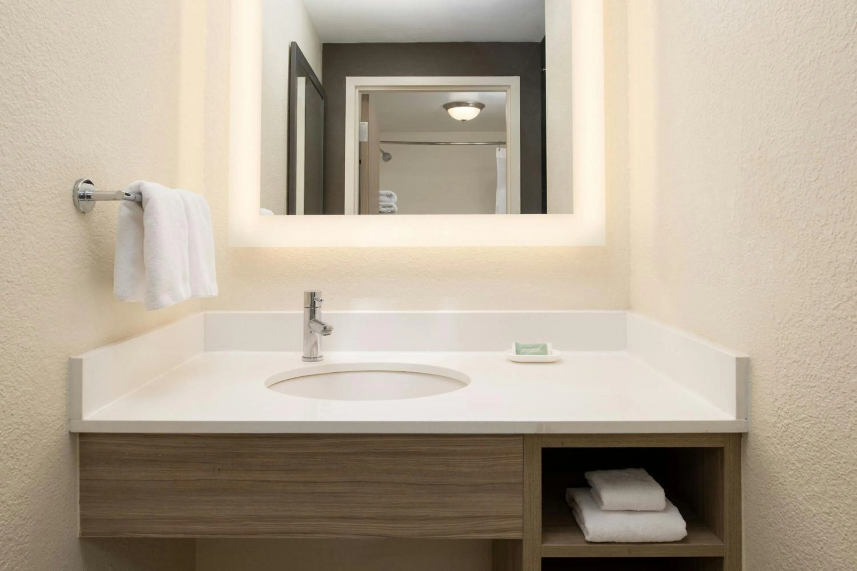 Bathroom in SpringHill Suites by Marriott New Orleans Warehouse Arts District