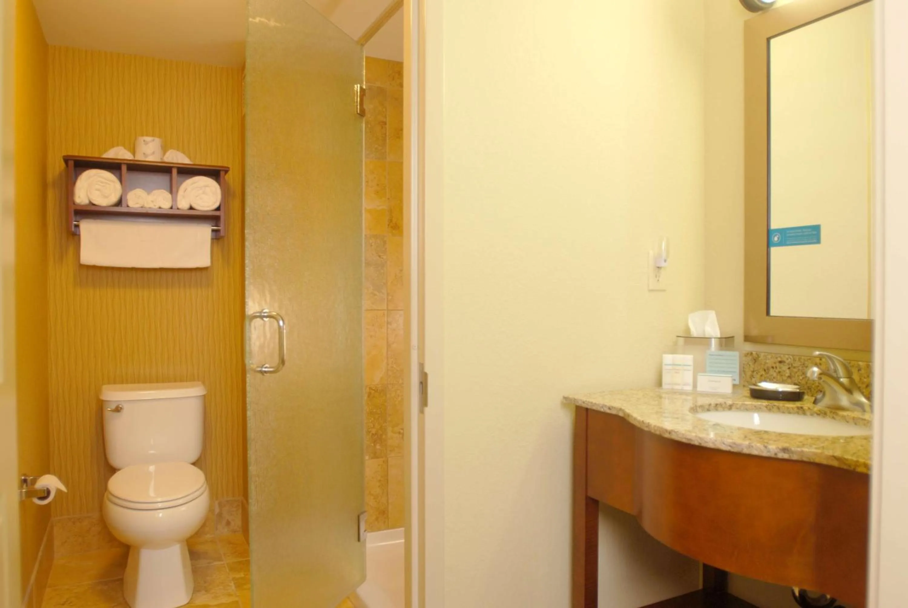 Bathroom in Hampton Inn Tomah