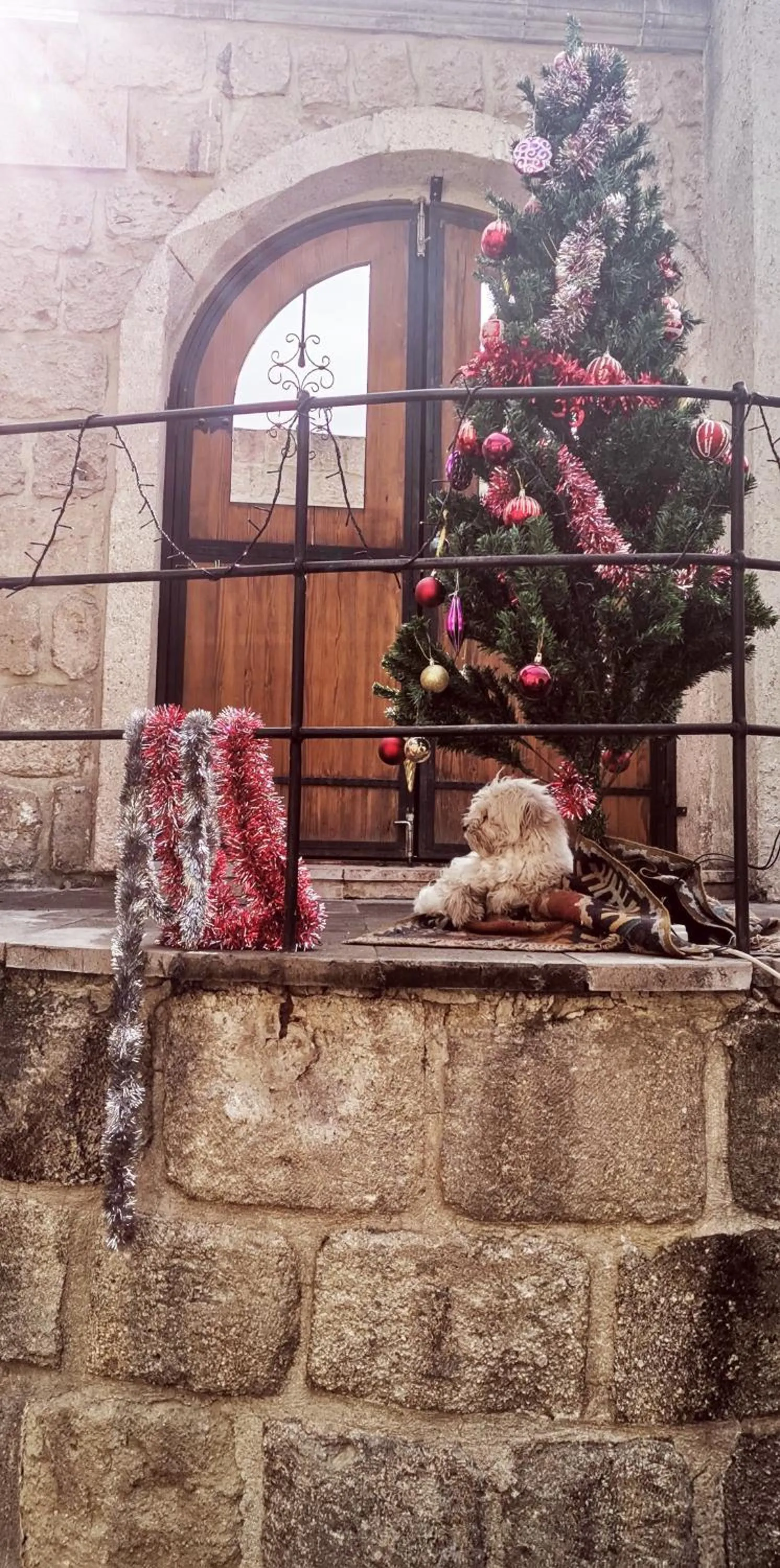 Facade/entrance in Salkım Cave House