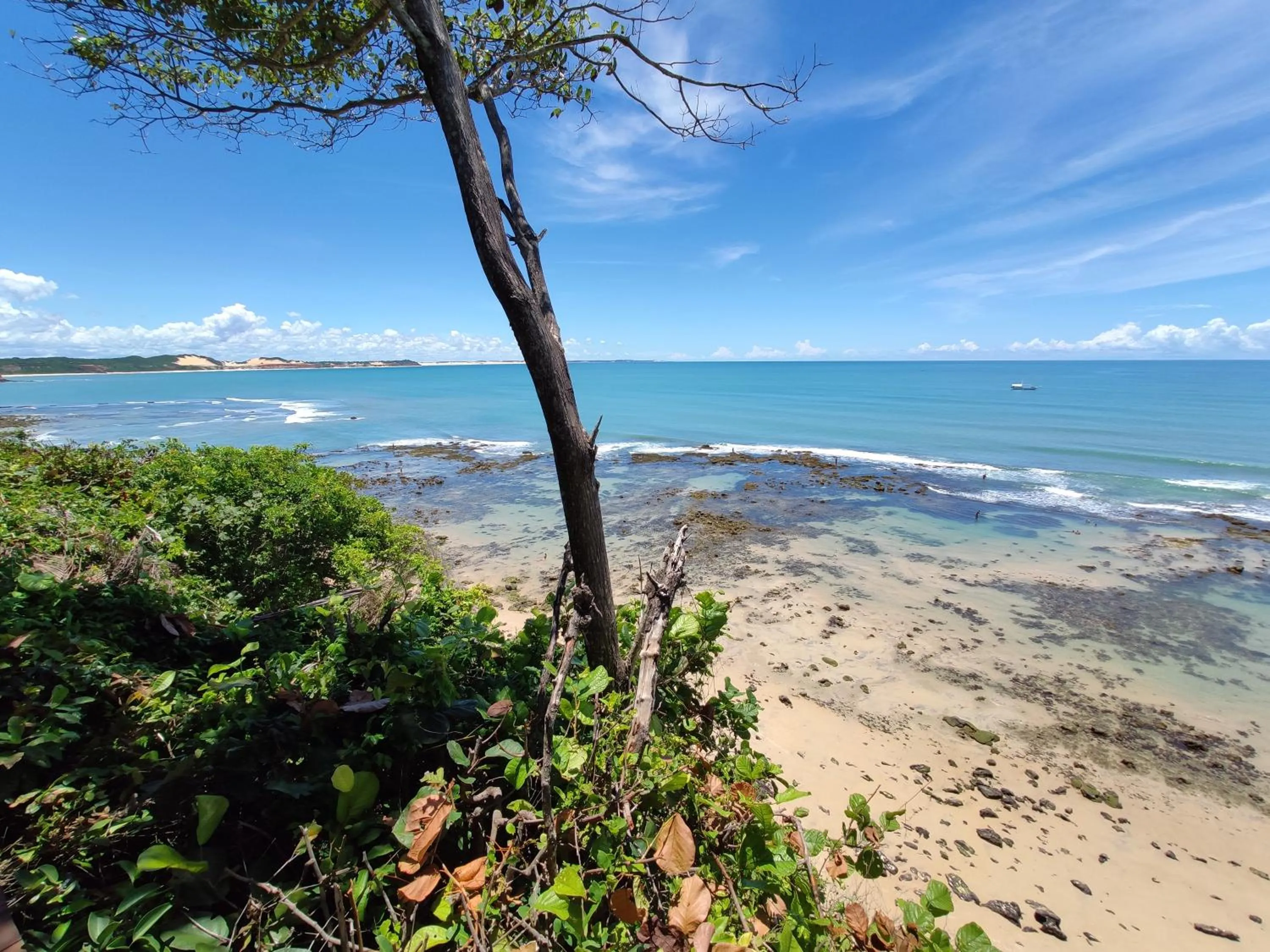 Natural landscape in Pousada Marajoara - Pipa