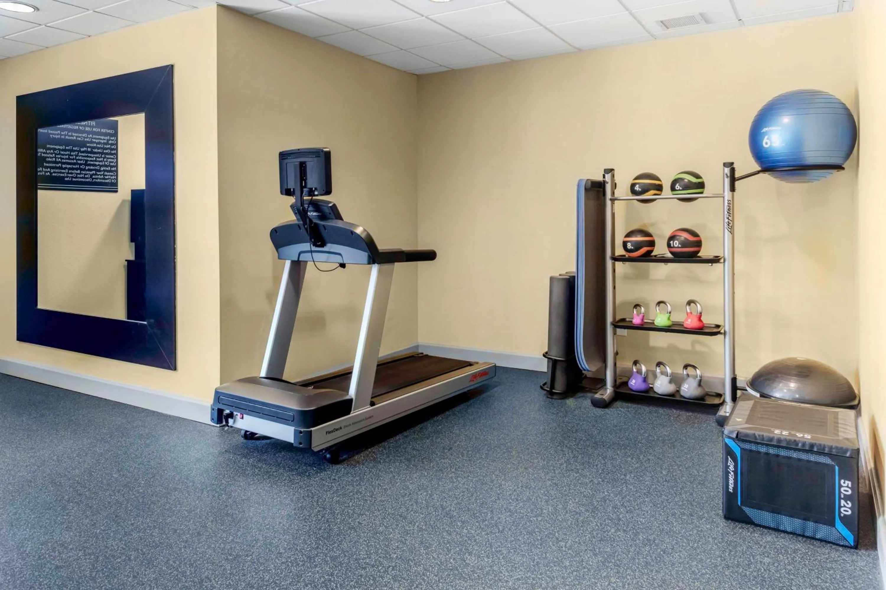 Fitness centre/facilities in Hilton Garden Inn Sarasota-Bradenton Airport